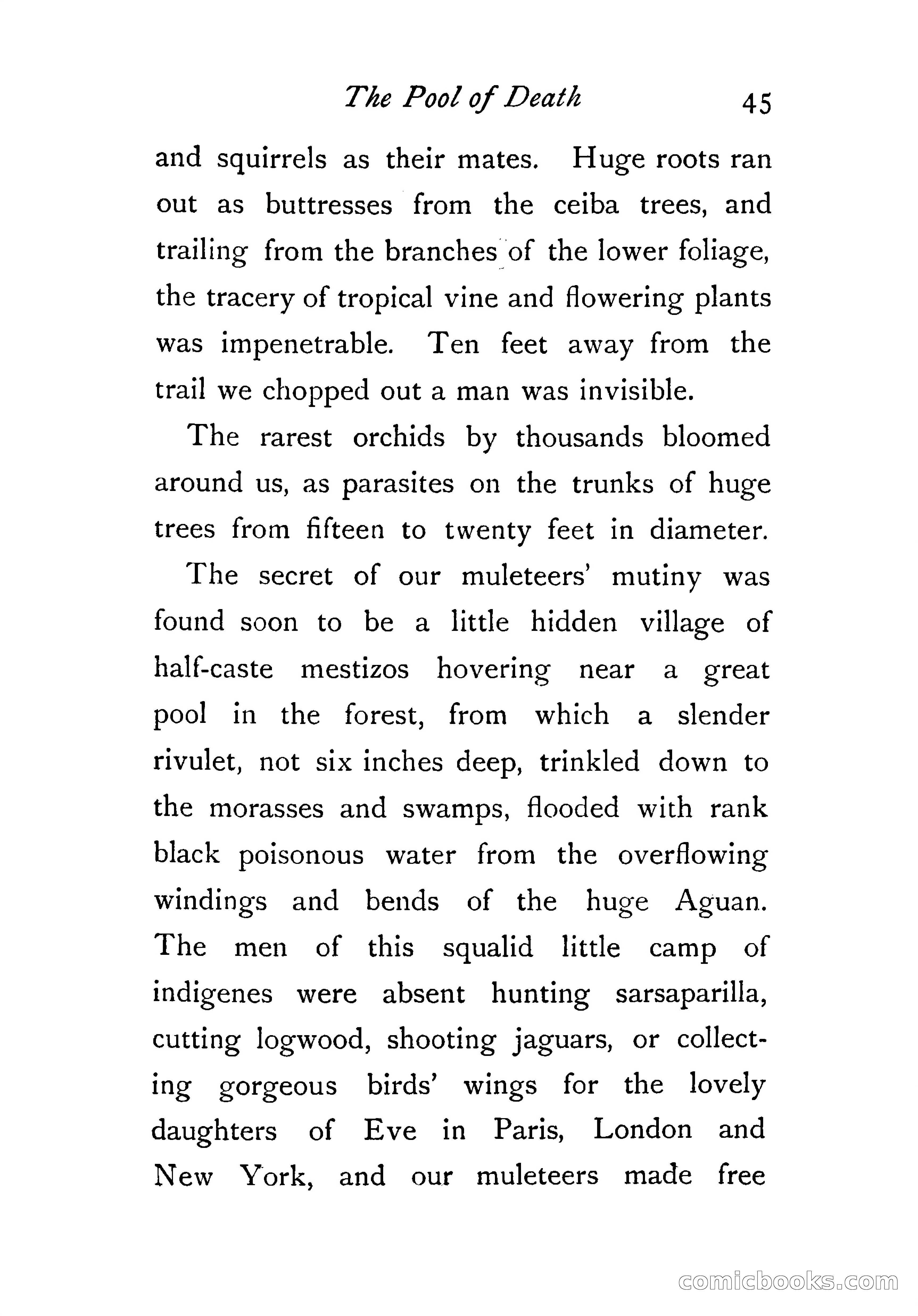 An Awkward Meeting and Other Thrilling Adventures — page 54 of 329