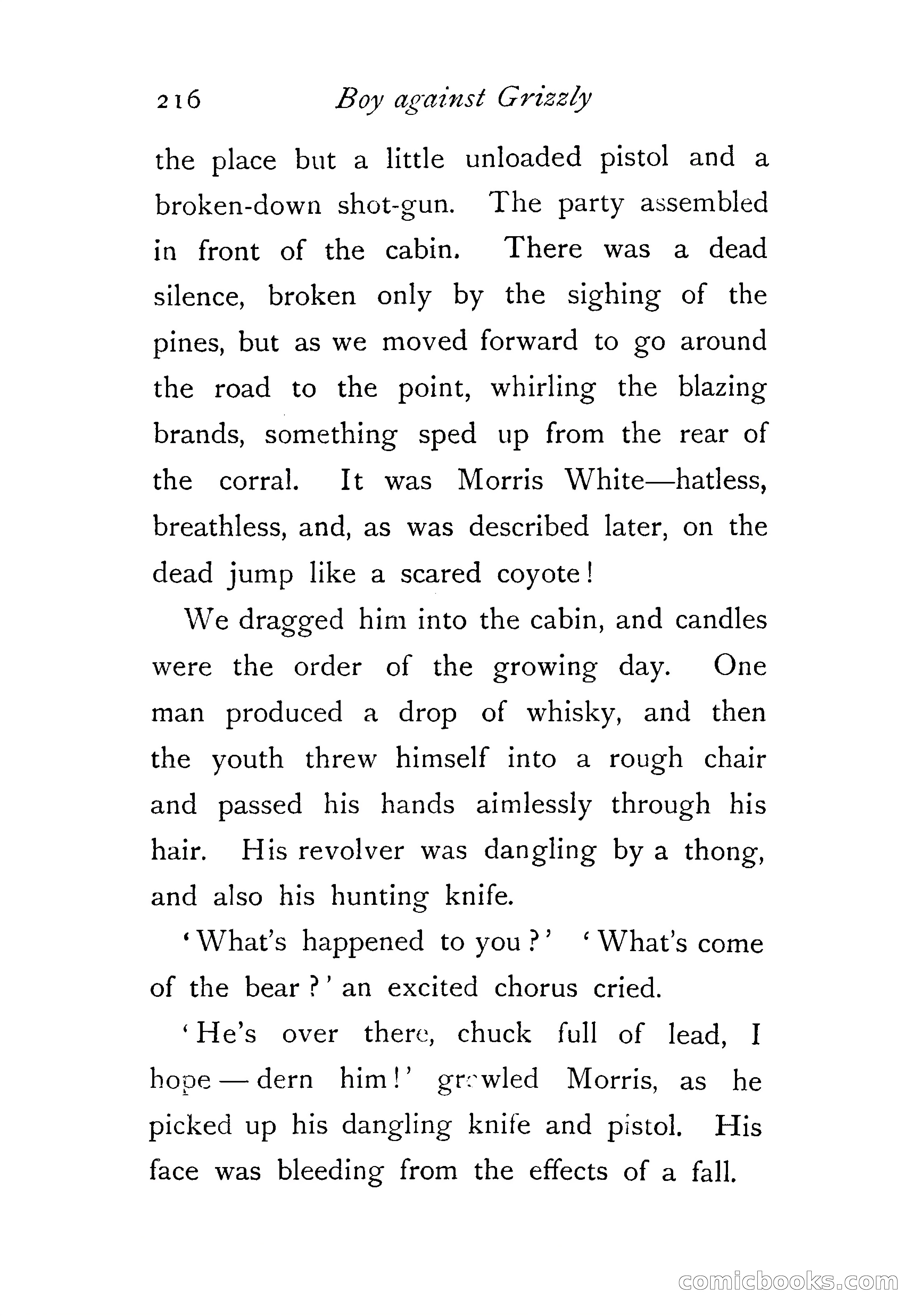 An Awkward Meeting and Other Thrilling Adventures — page 225 of 329