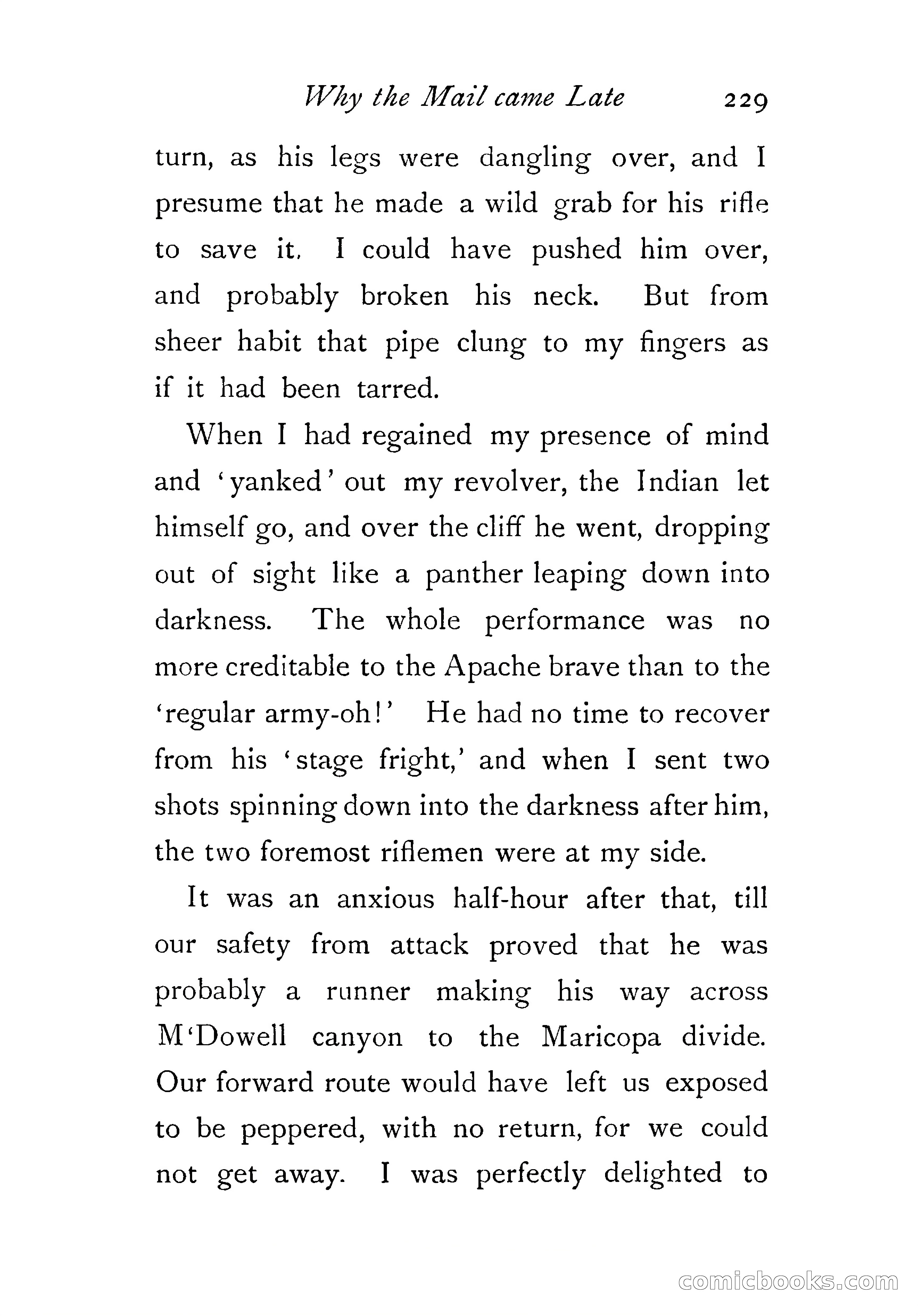 An Awkward Meeting and Other Thrilling Adventures — page 238 of 329