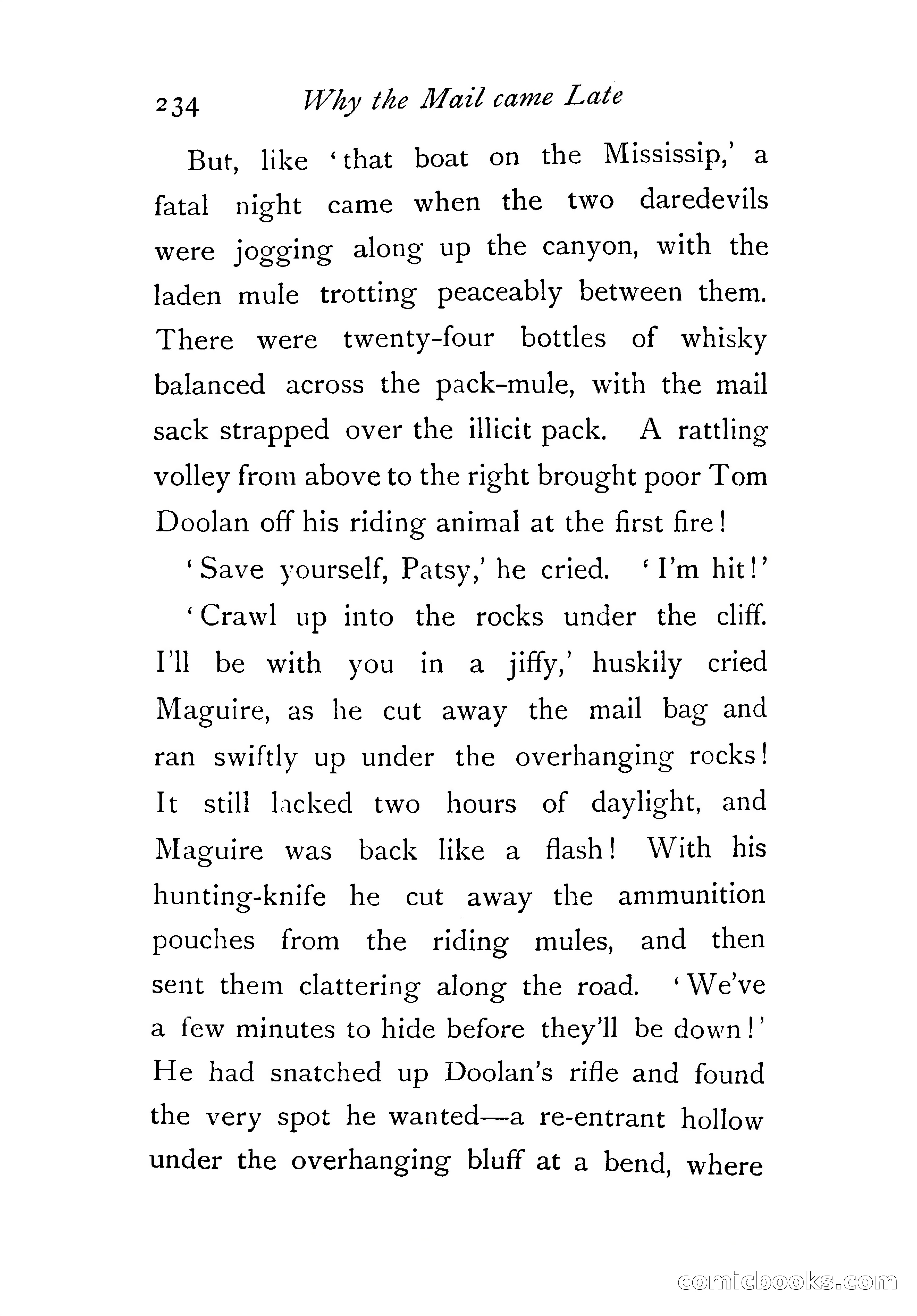 An Awkward Meeting and Other Thrilling Adventures — page 243 of 329