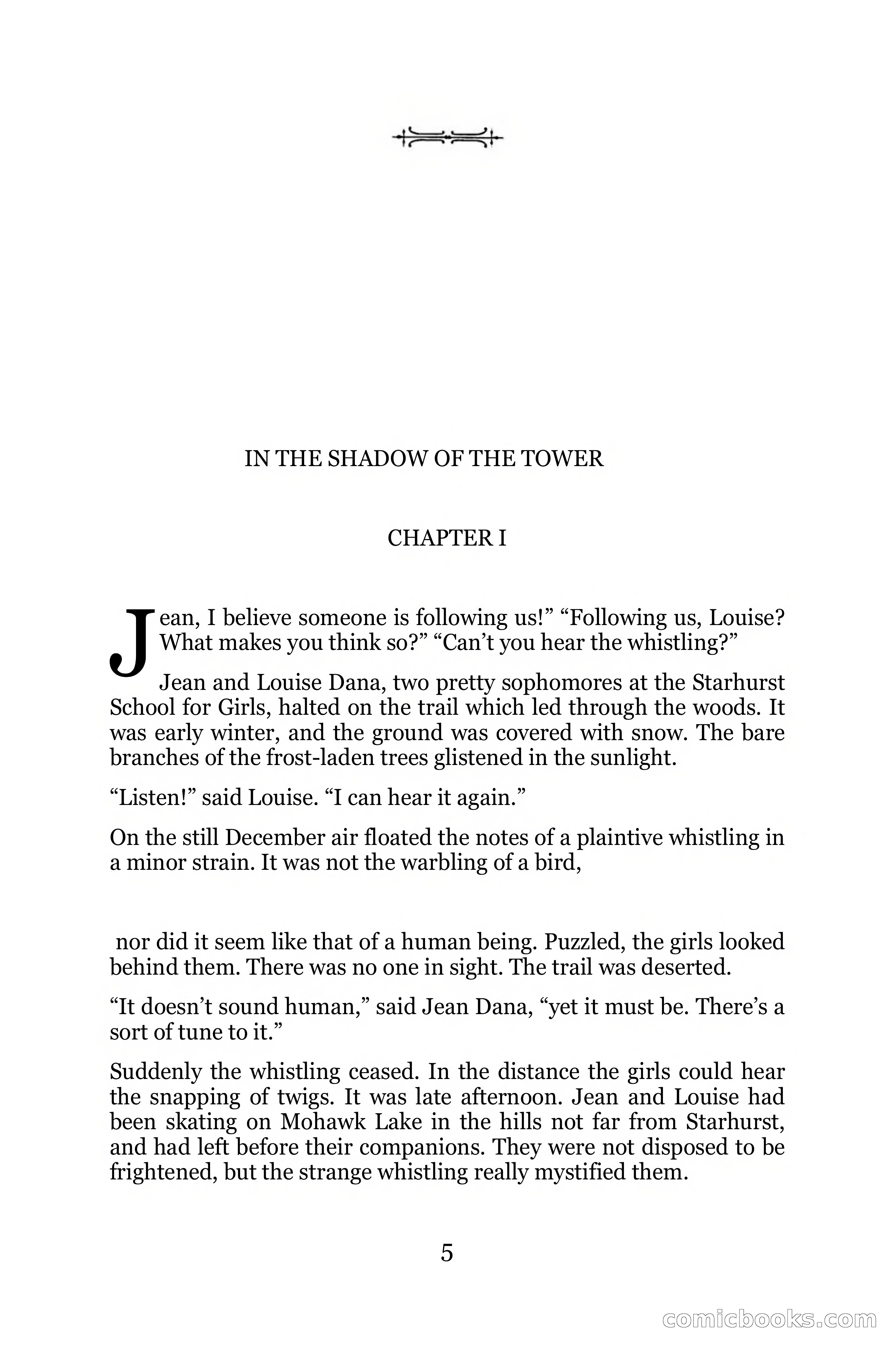 In the Shadow of the Tower — page 5 of 156