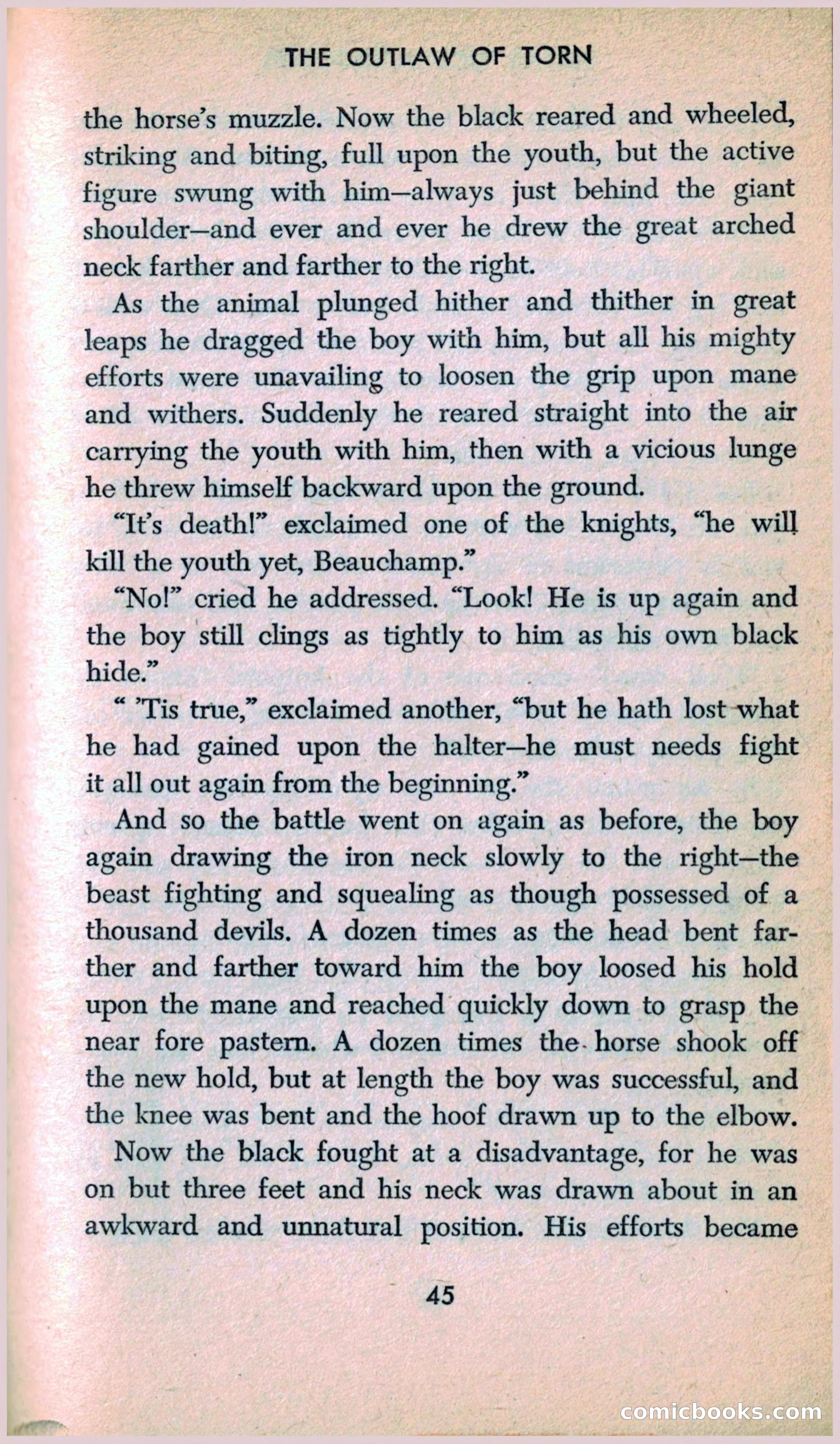 The Outlaw of Torn — page 47 of 246