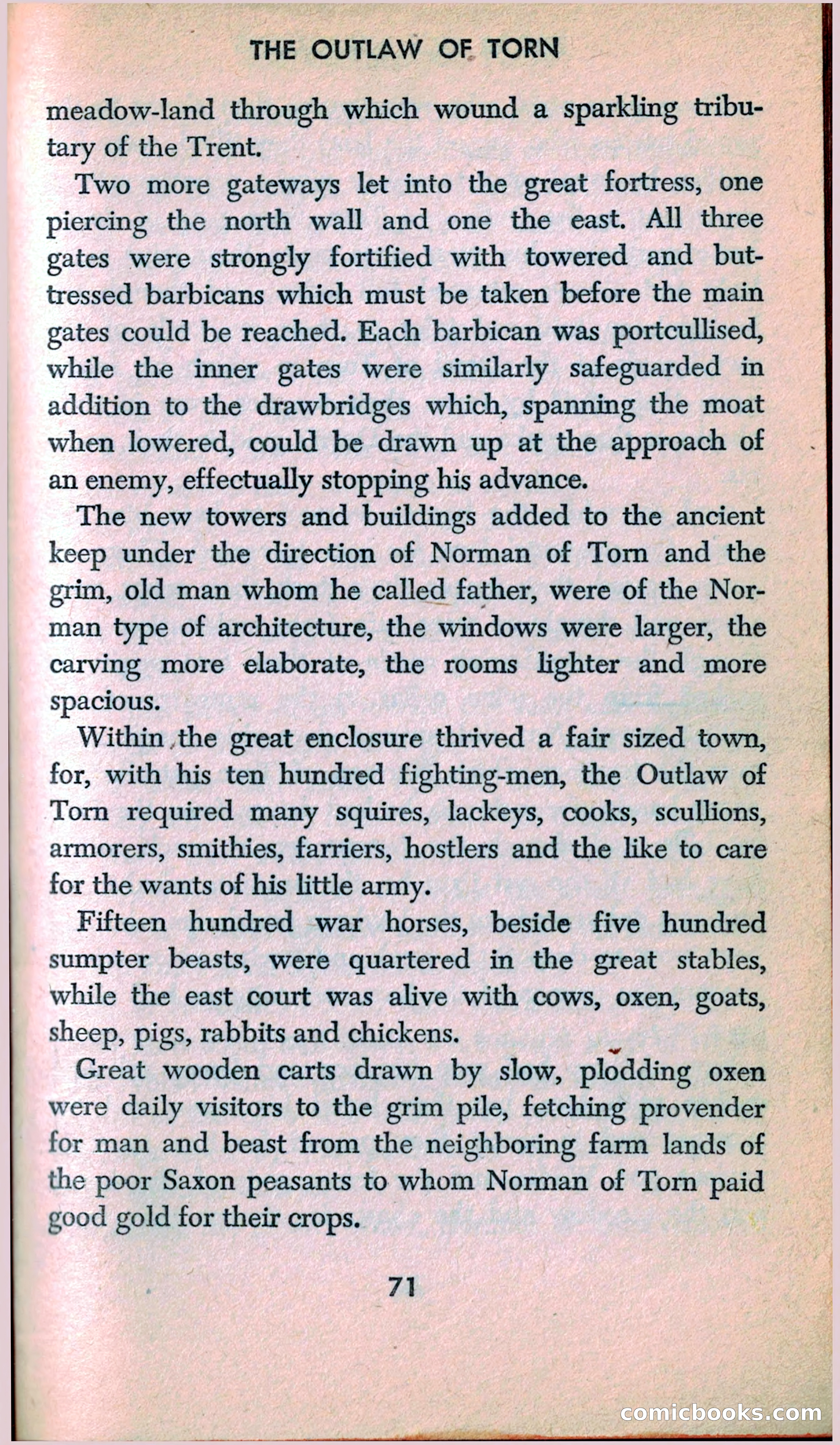 The Outlaw of Torn — page 73 of 246