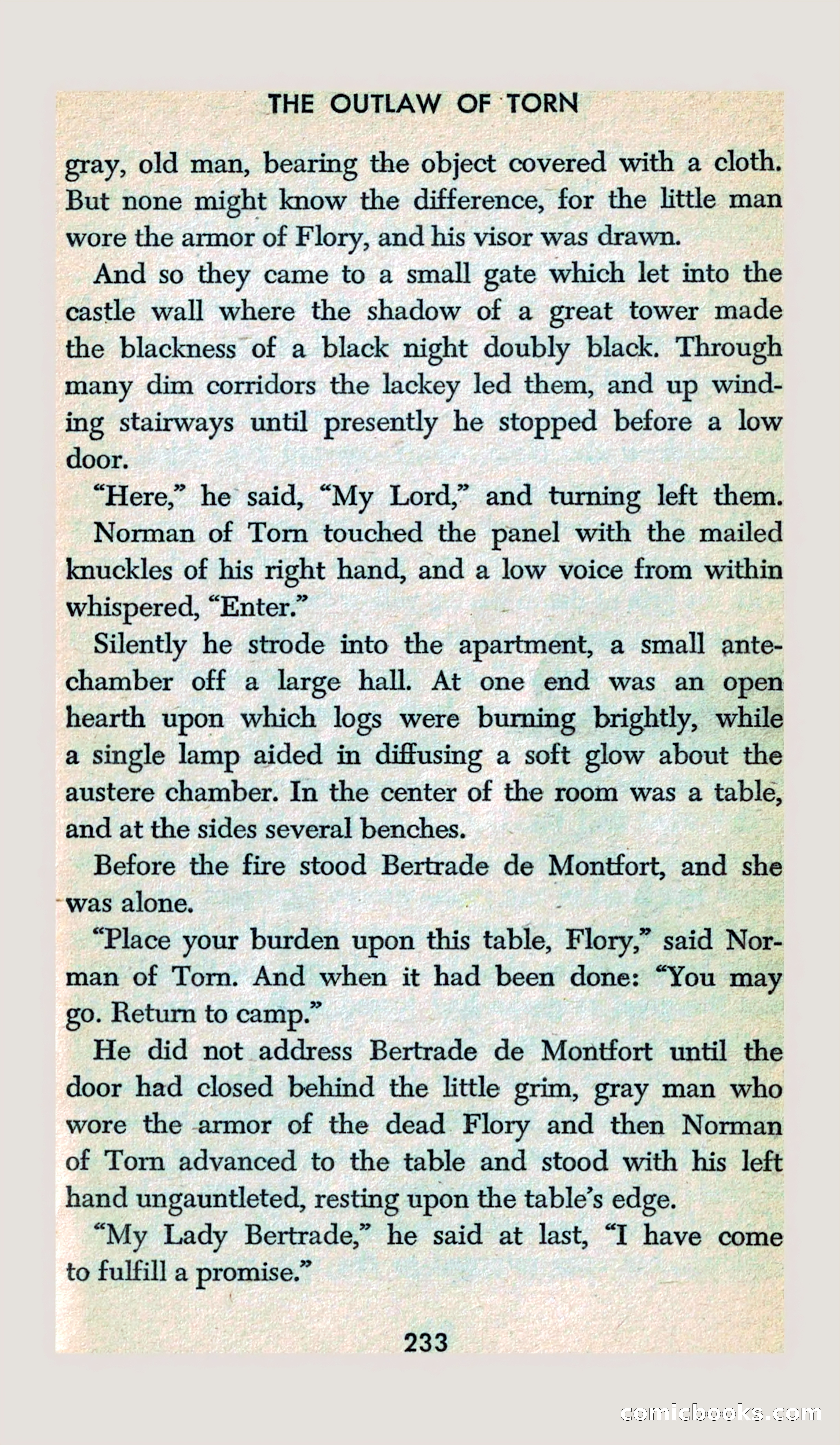 The Outlaw of Torn — page 221 of 246