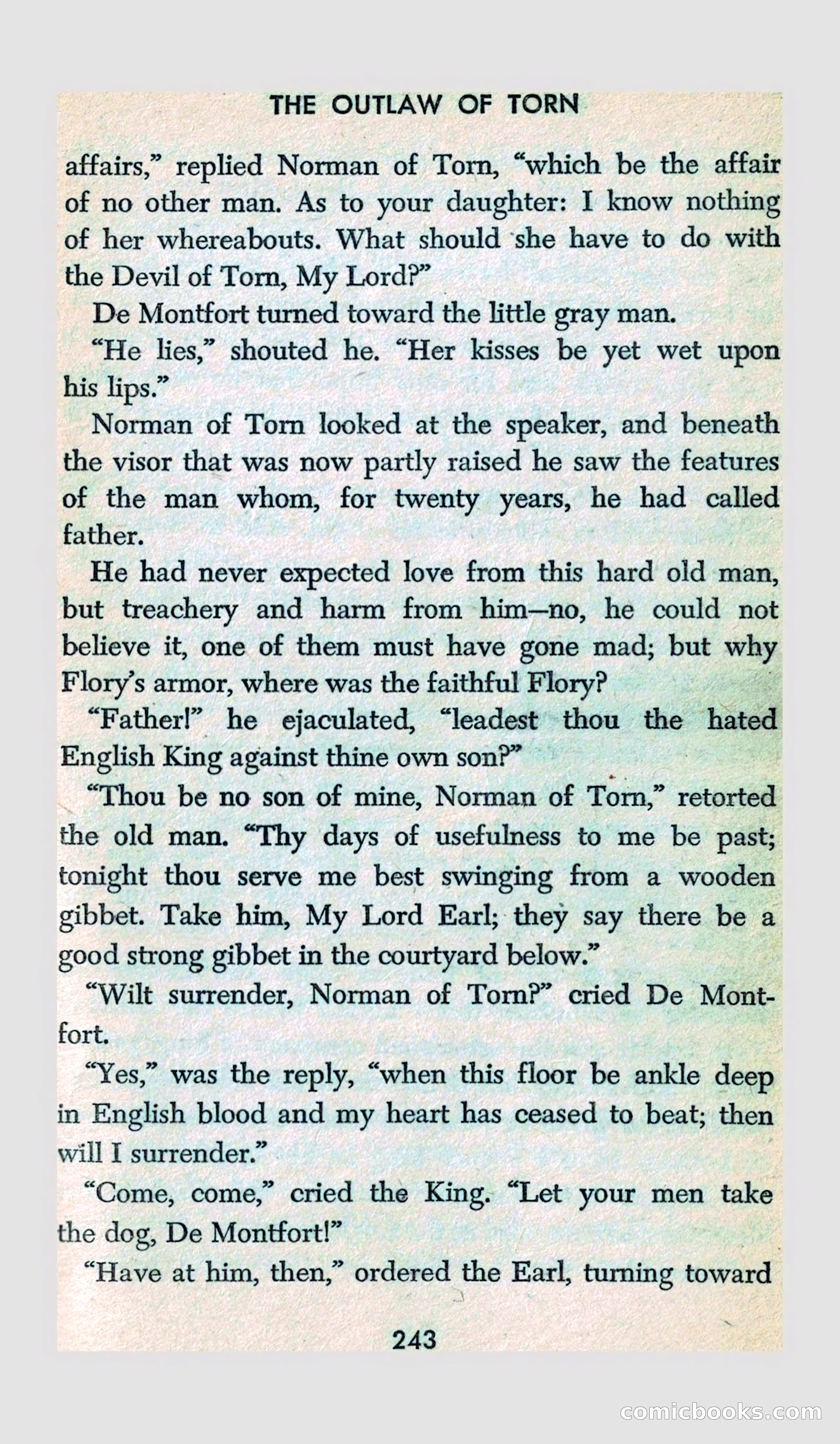 The Outlaw of Torn — page 231 of 246