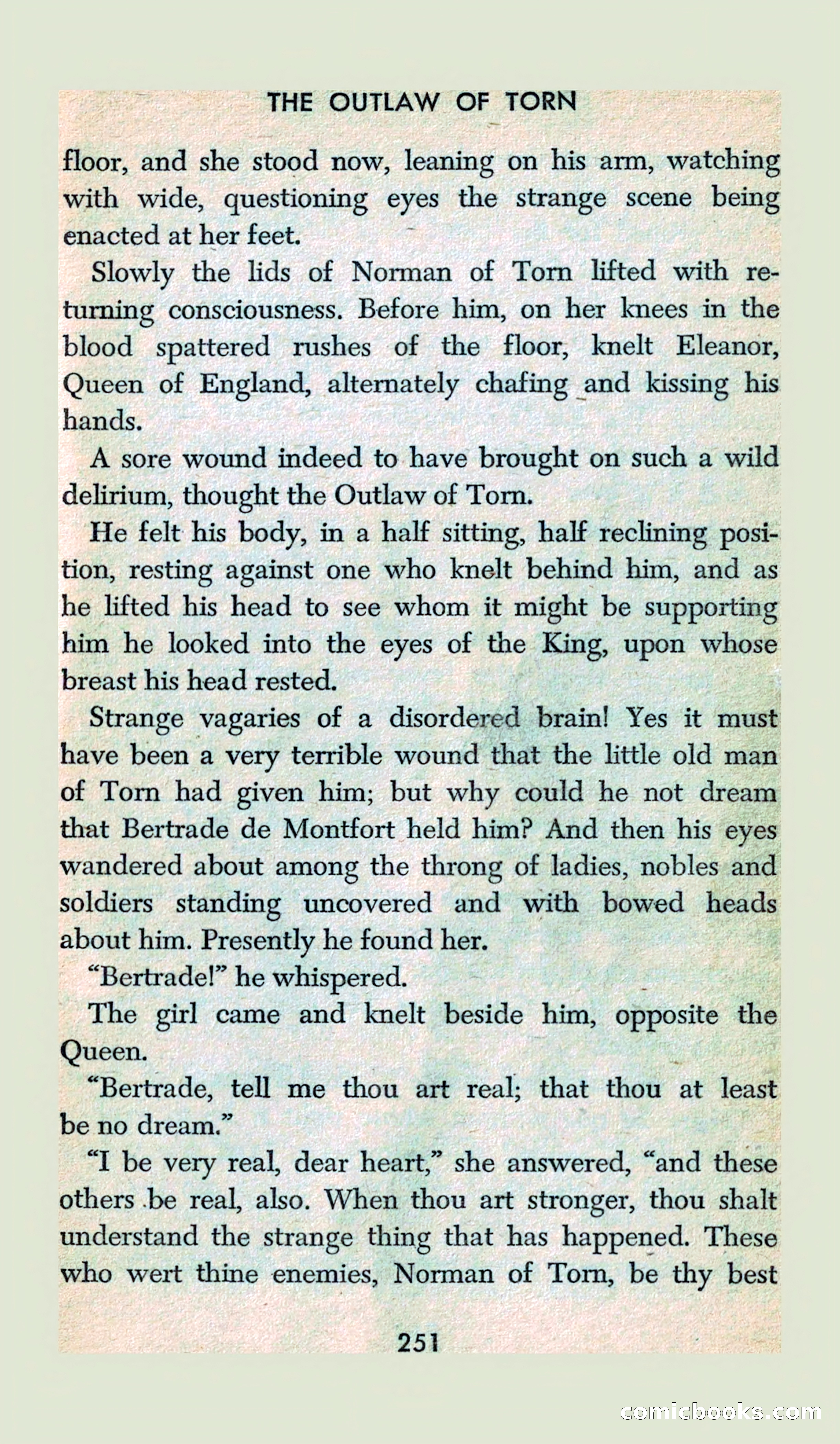 The Outlaw of Torn — page 239 of 246