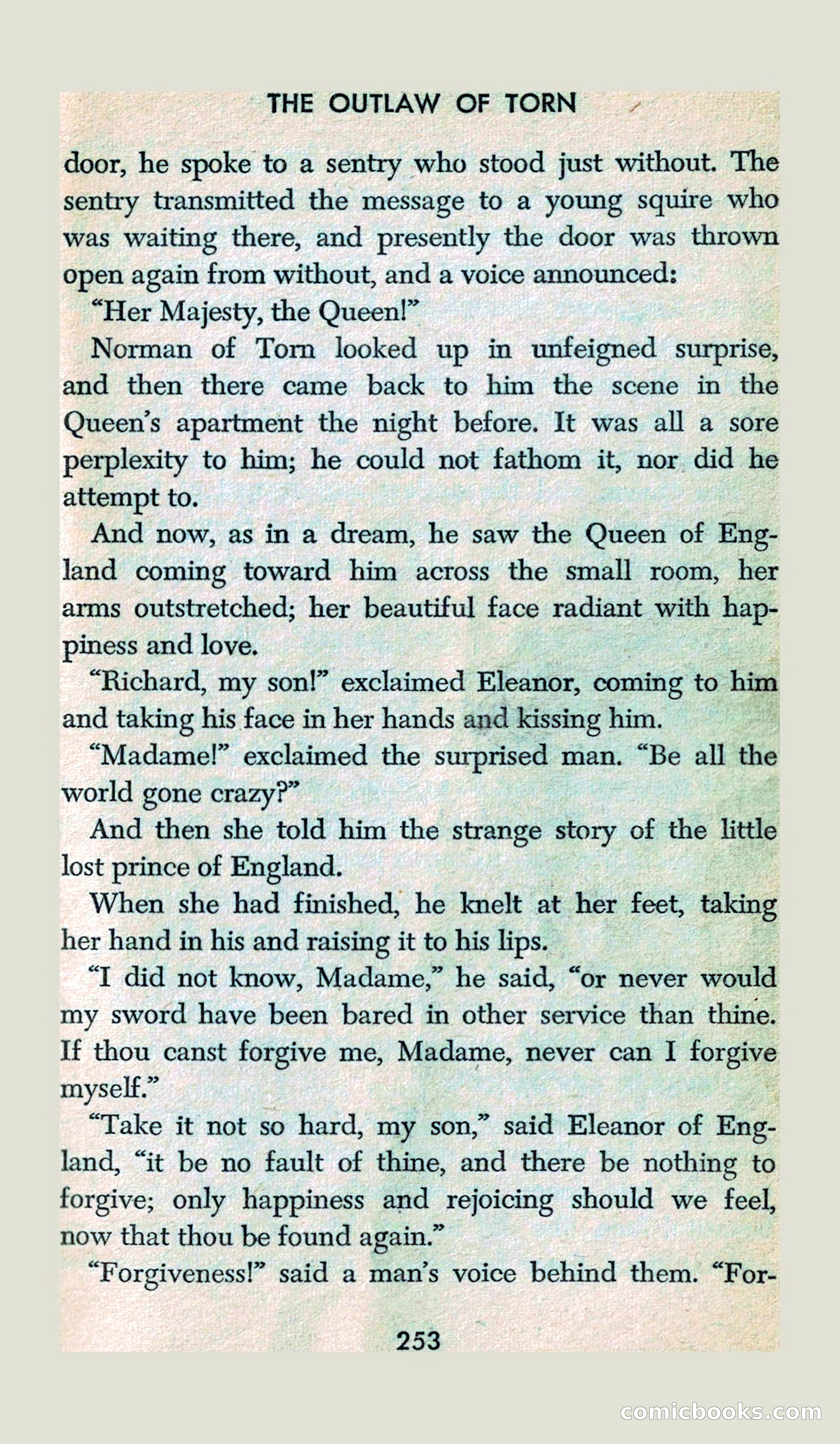 The Outlaw of Torn — page 241 of 246