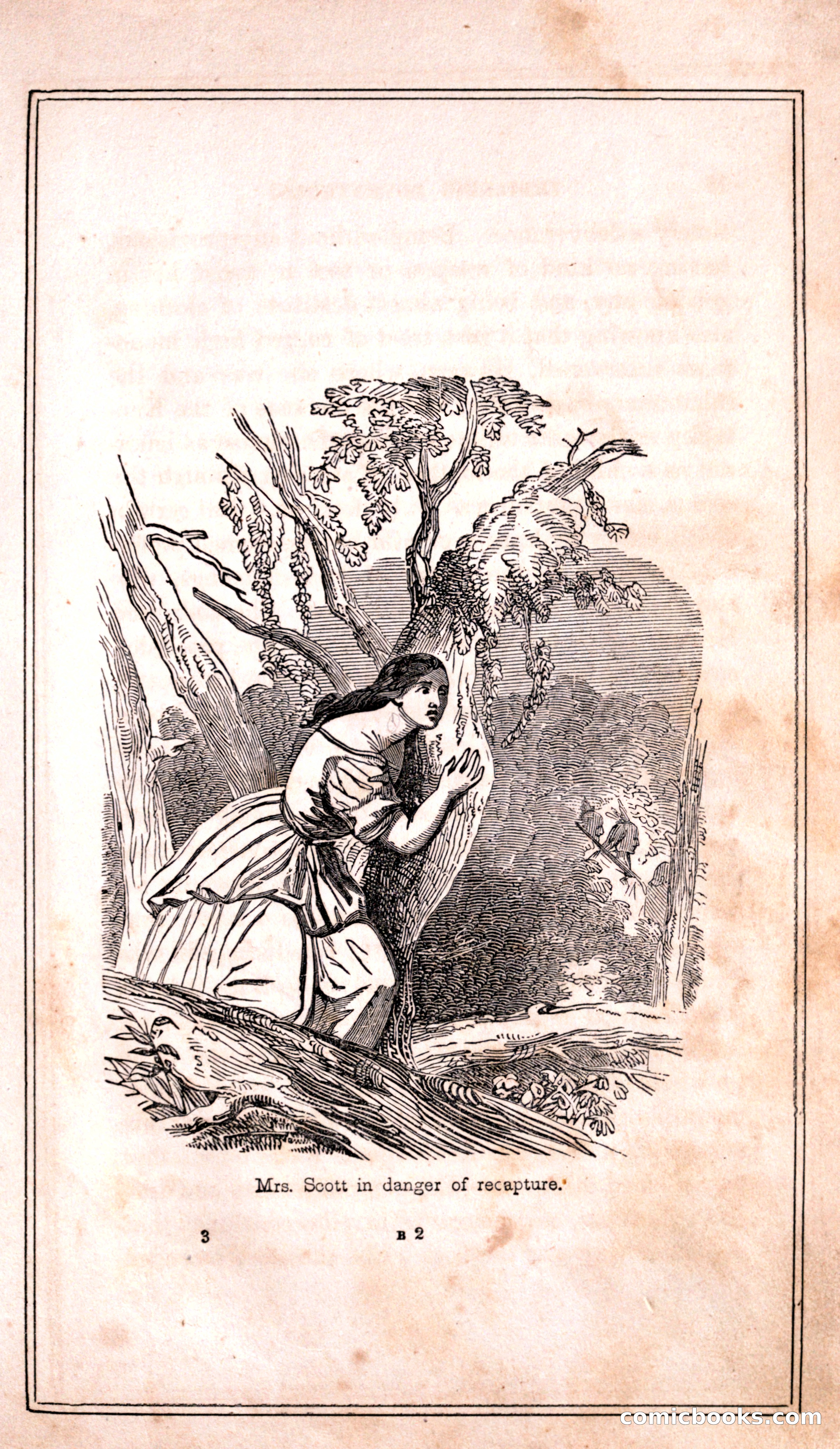 Thrilling Adventures Among the Indians — page 25 of 399