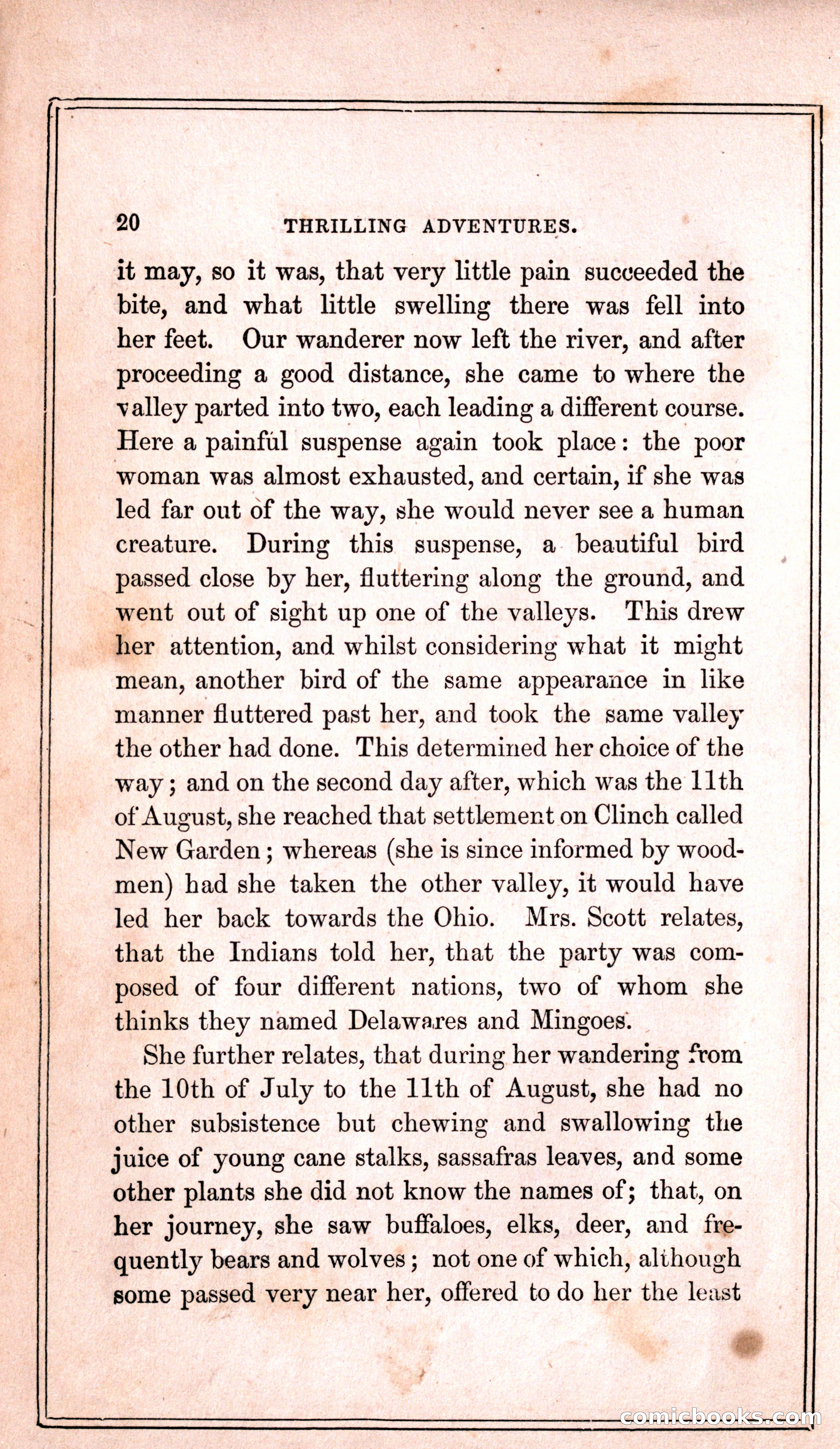 Thrilling Adventures Among the Indians — page 28 of 399
