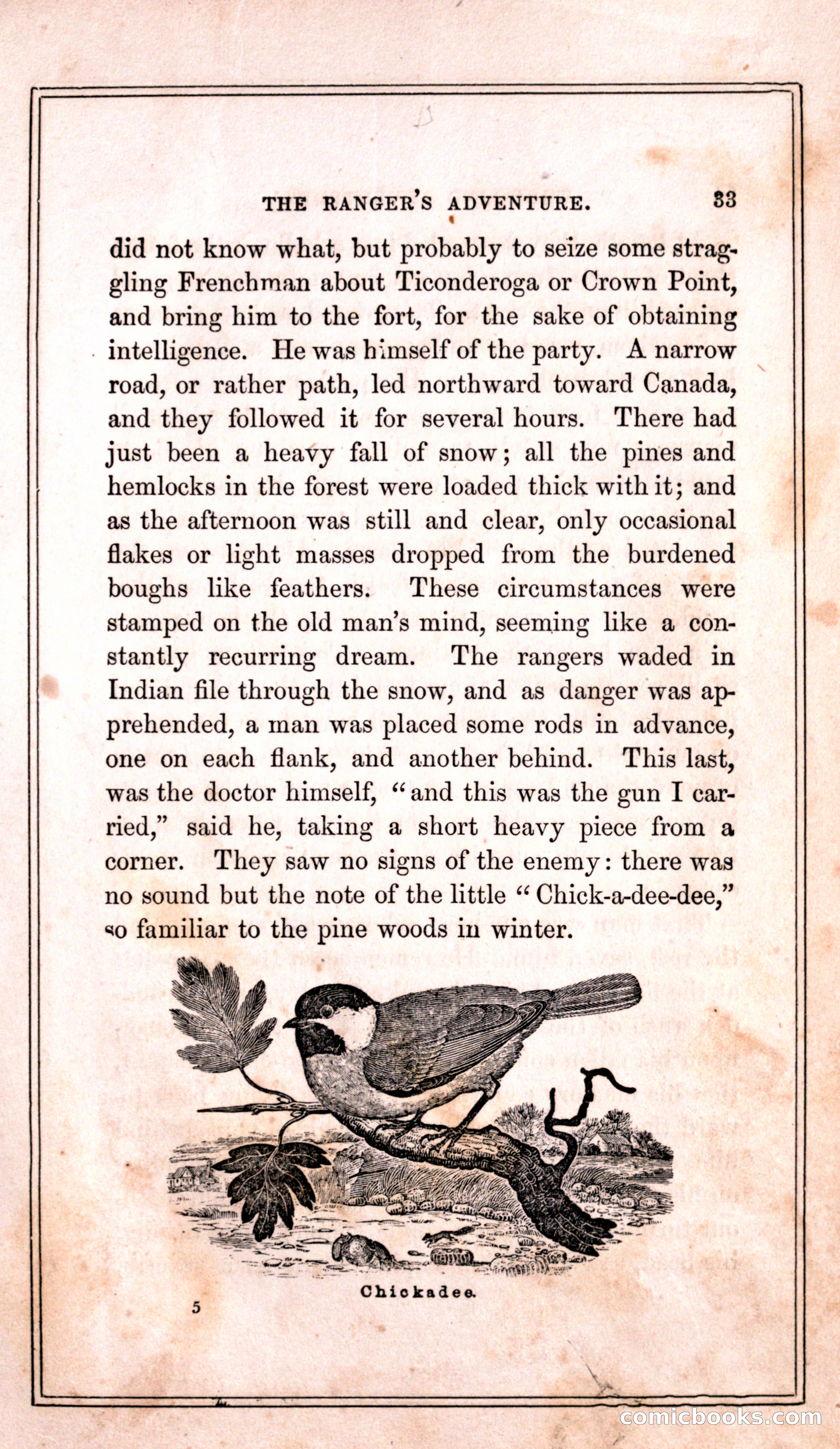 Thrilling Adventures Among the Indians — page 41 of 399