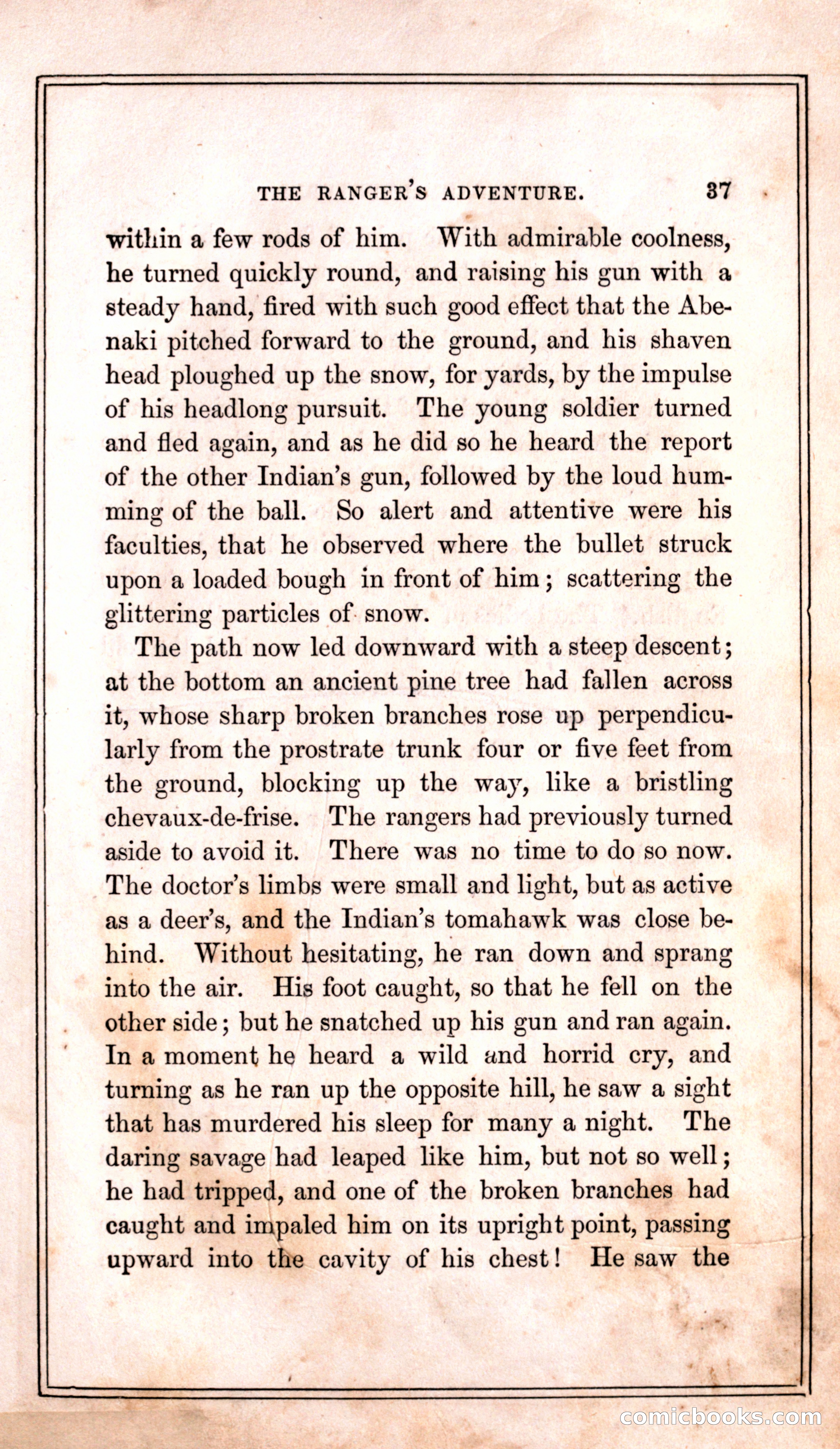 Thrilling Adventures Among the Indians — page 45 of 399