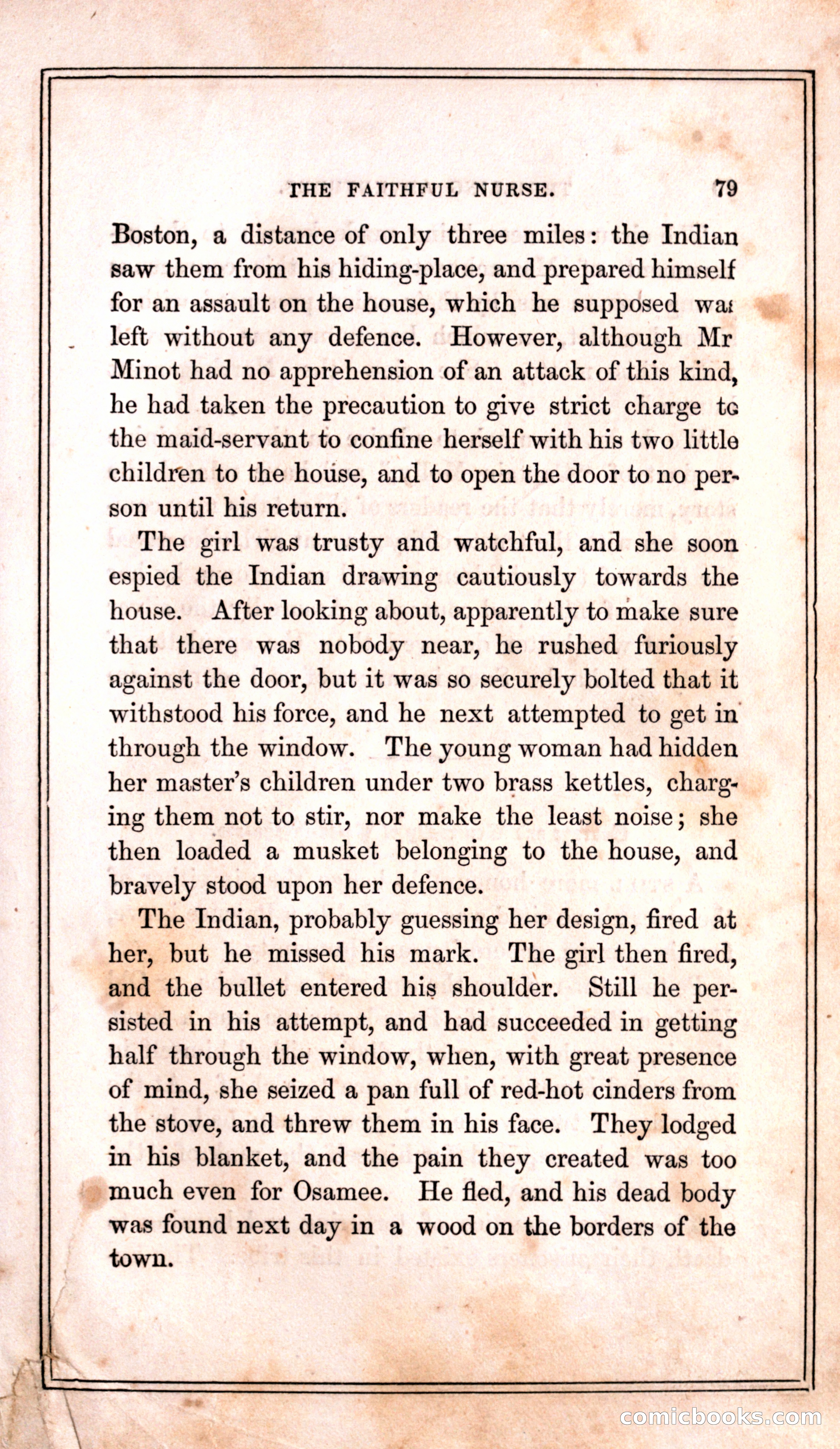 Thrilling Adventures Among the Indians — page 87 of 399