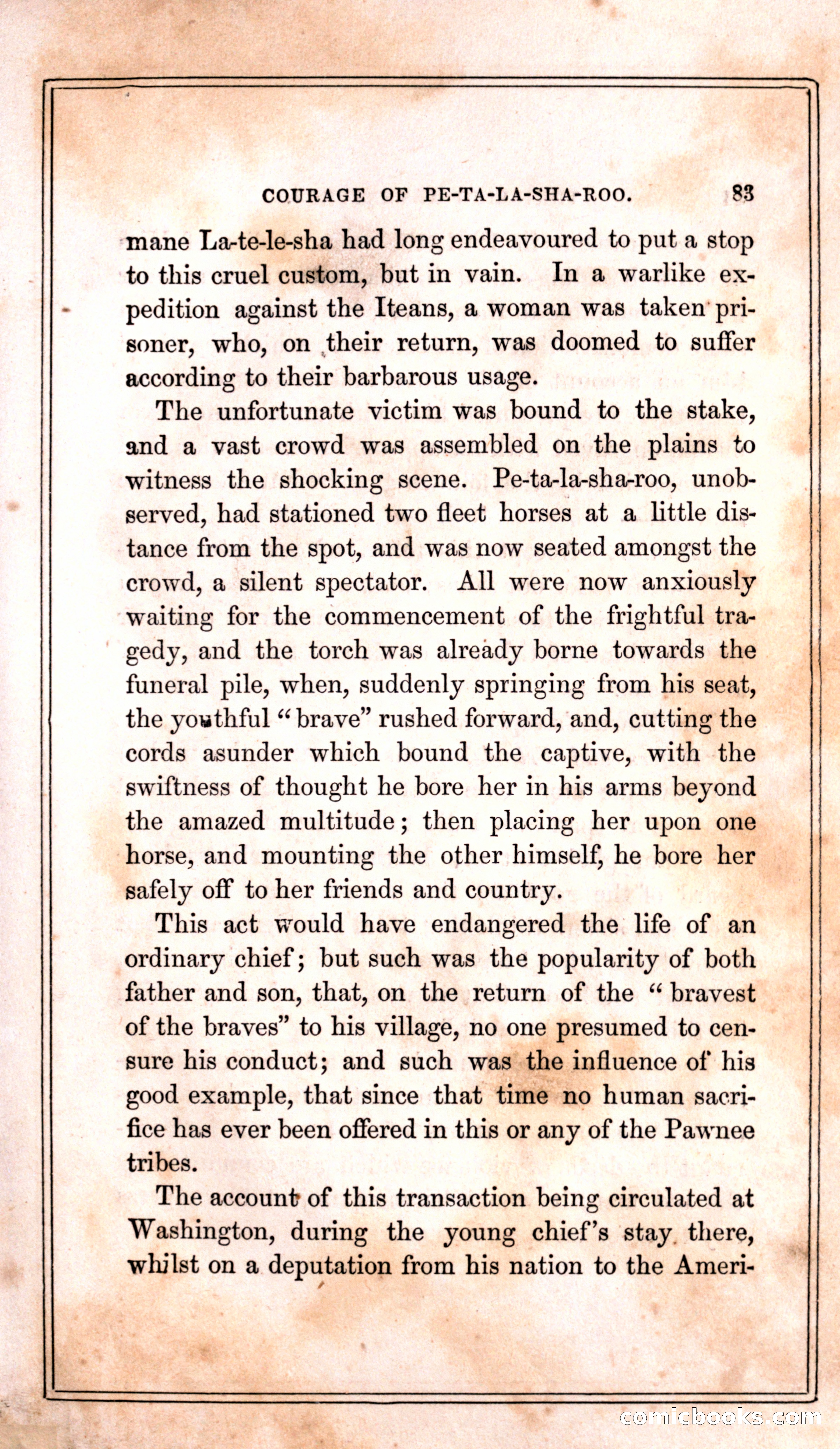 Thrilling Adventures Among the Indians — page 91 of 399