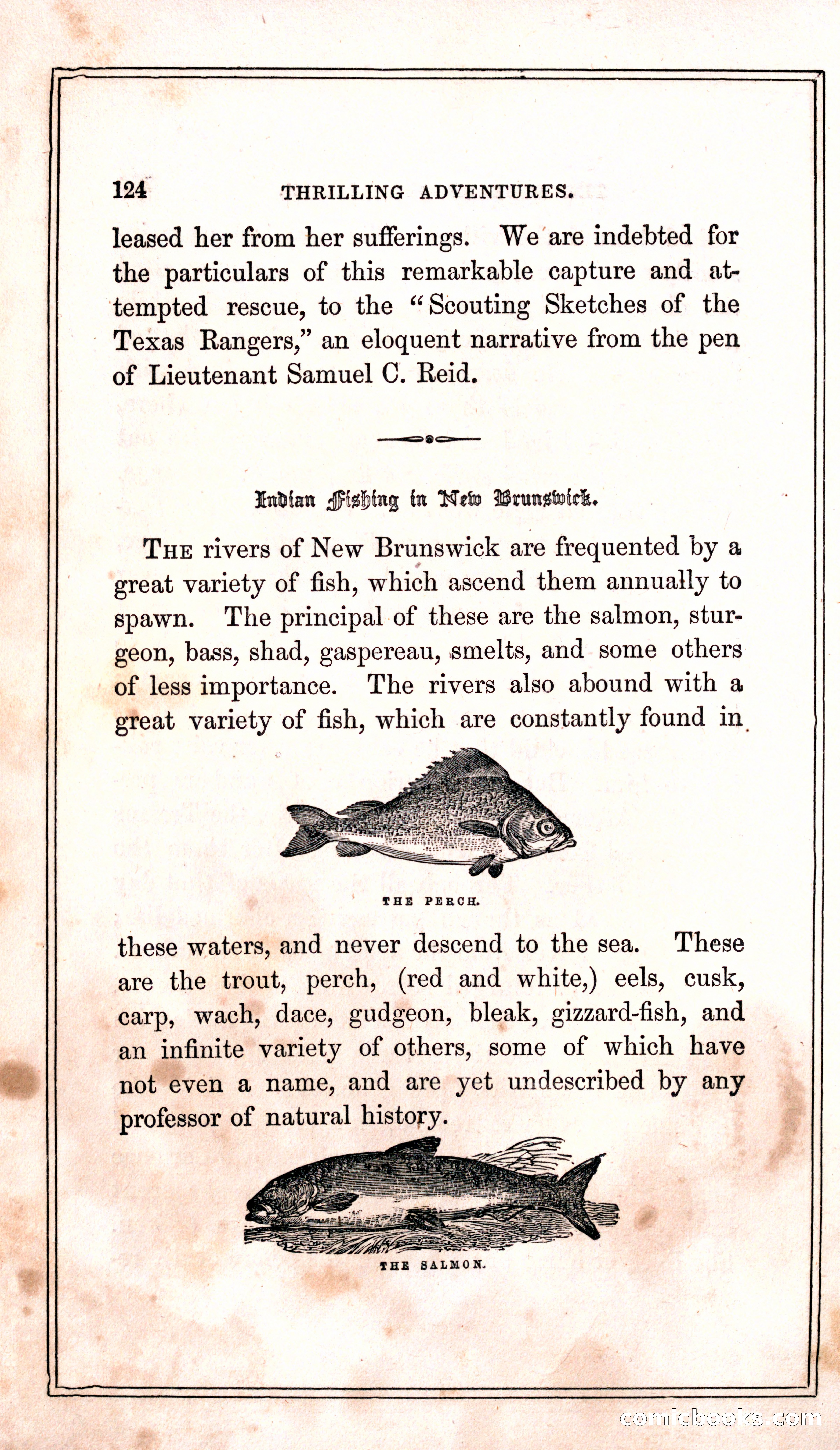 Thrilling Adventures Among the Indians — page 132 of 399