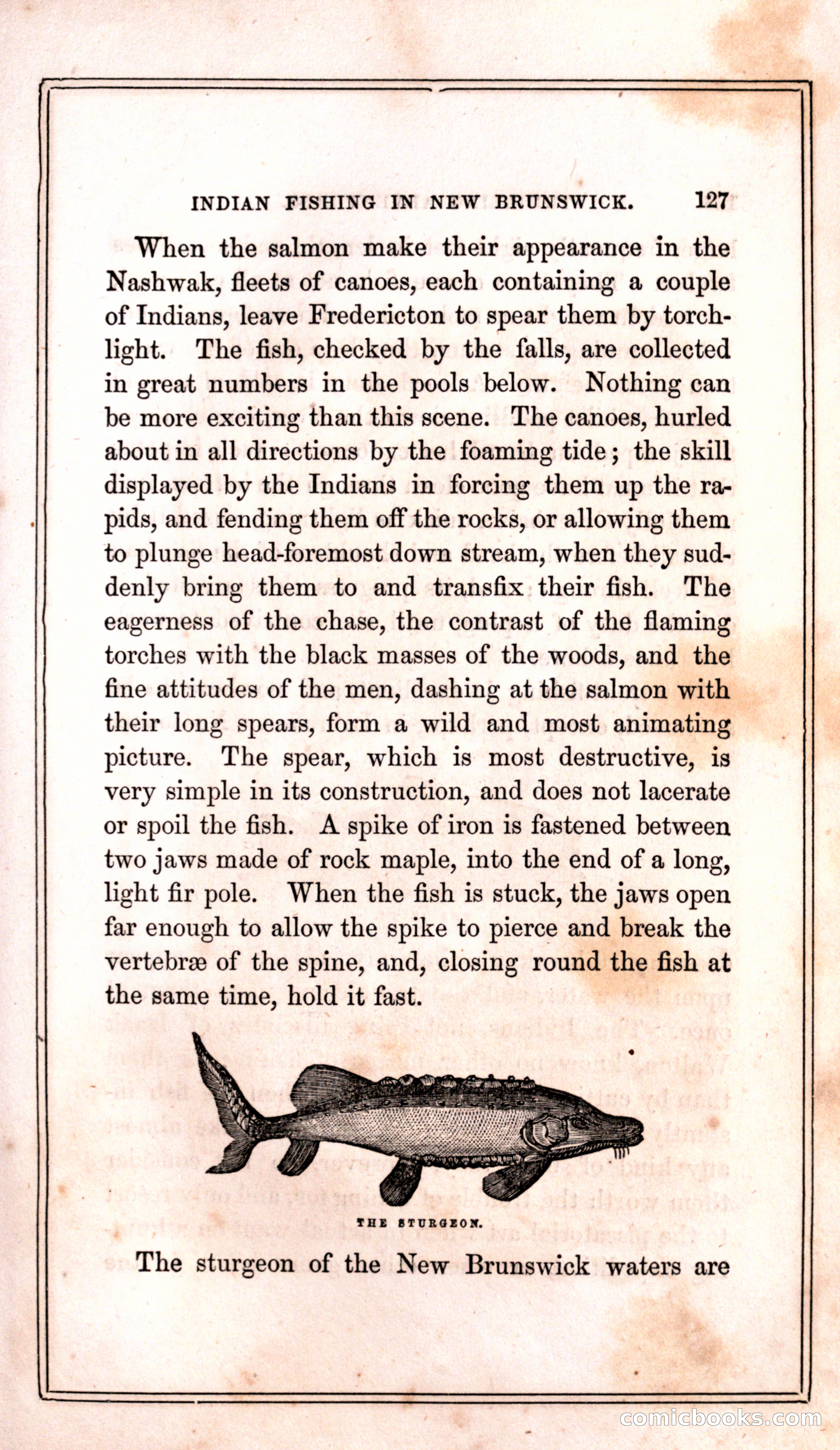 Thrilling Adventures Among the Indians — page 135 of 399