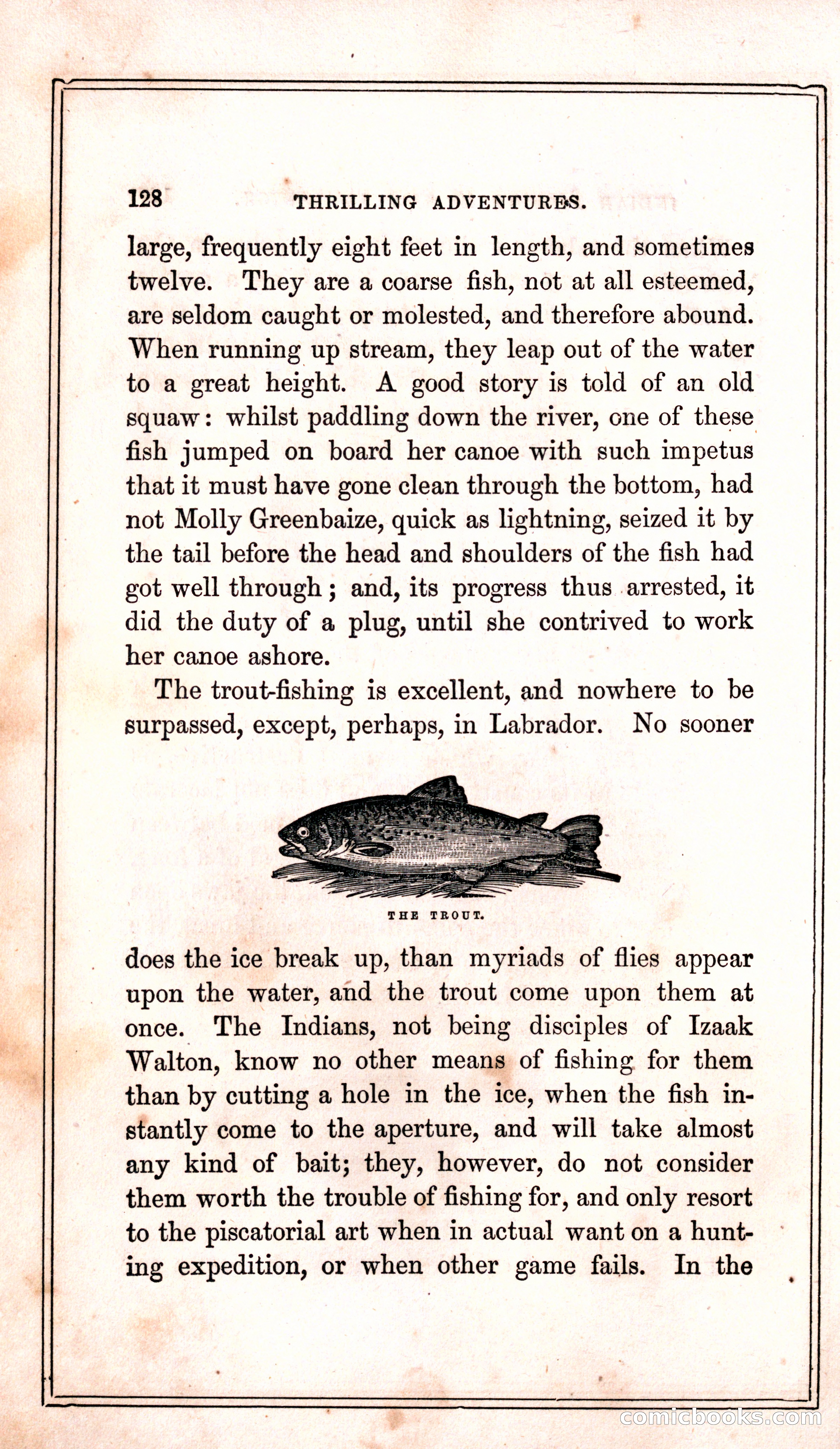 Thrilling Adventures Among the Indians — page 136 of 399