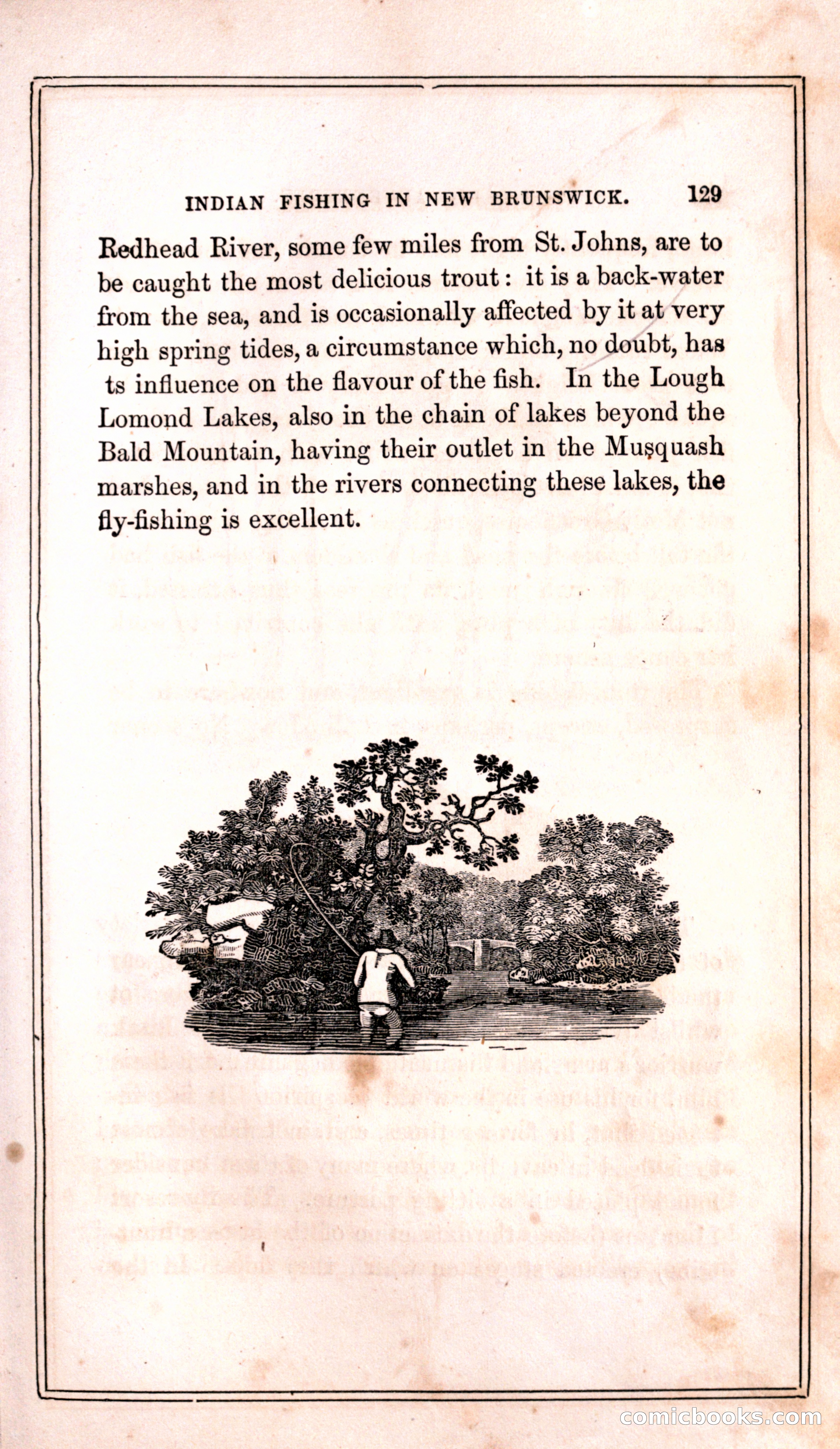 Thrilling Adventures Among the Indians — page 137 of 399