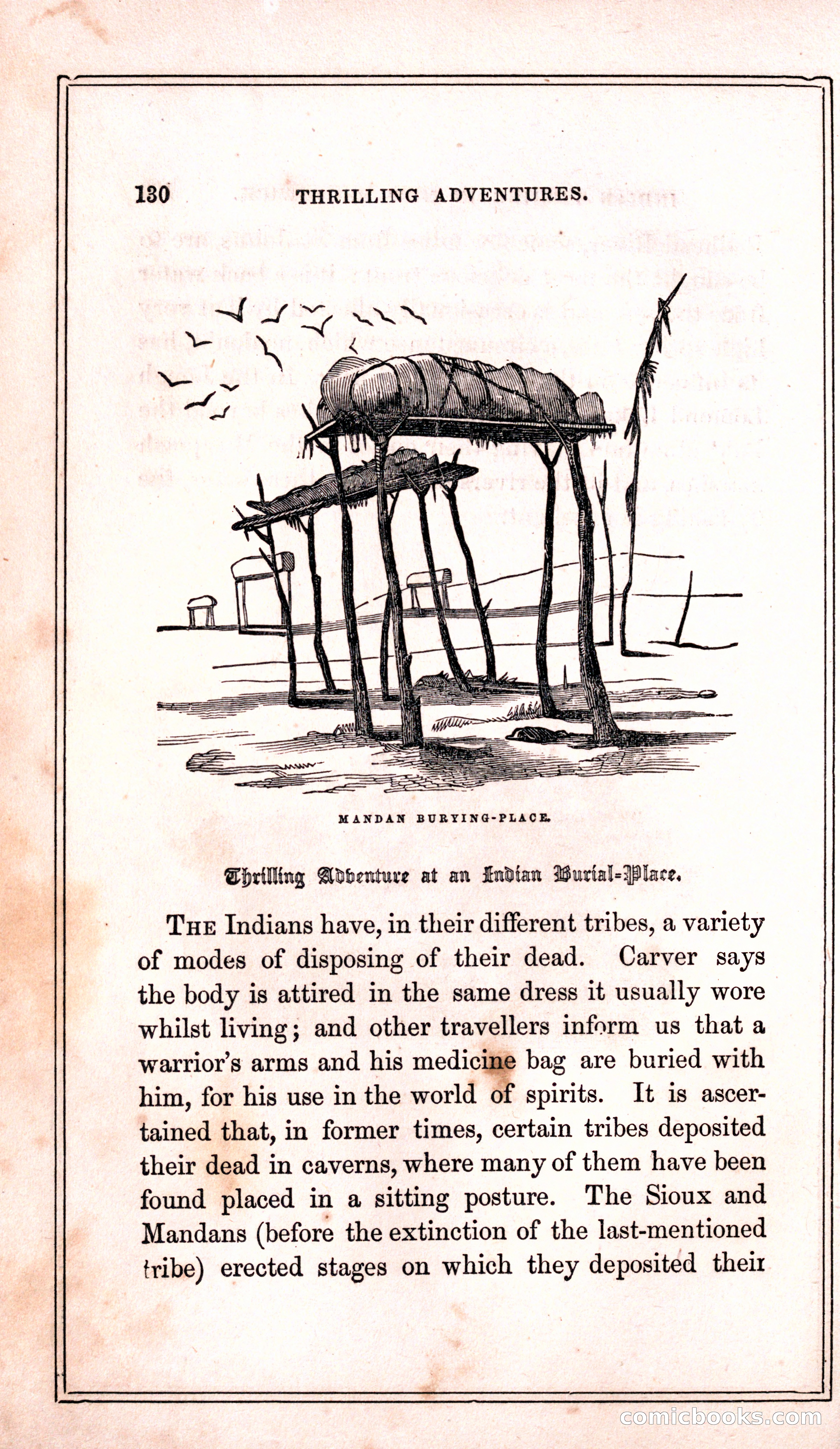 Thrilling Adventures Among the Indians — page 138 of 399