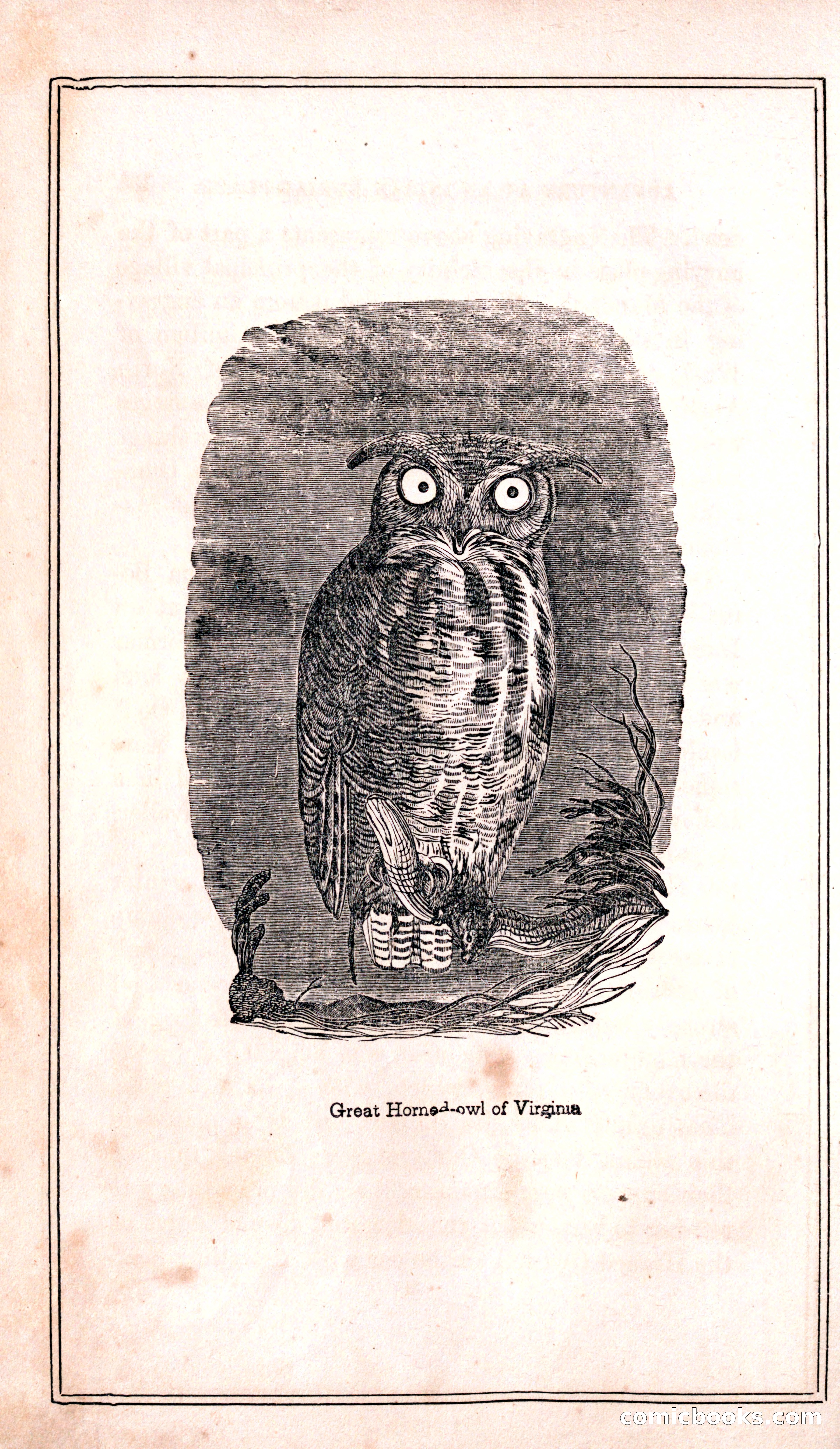 Thrilling Adventures Among the Indians — page 140 of 399