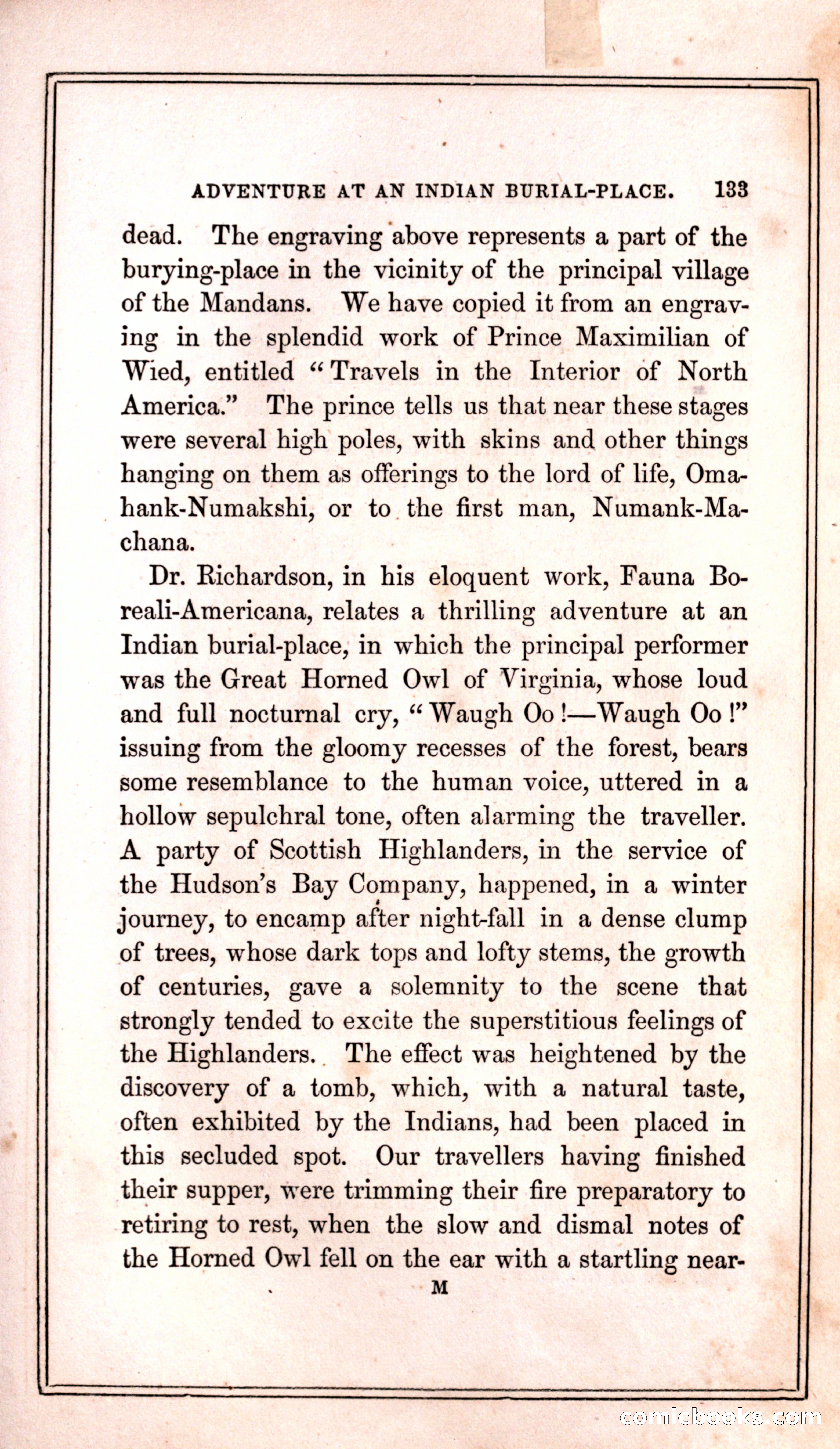 Thrilling Adventures Among the Indians — page 141 of 399