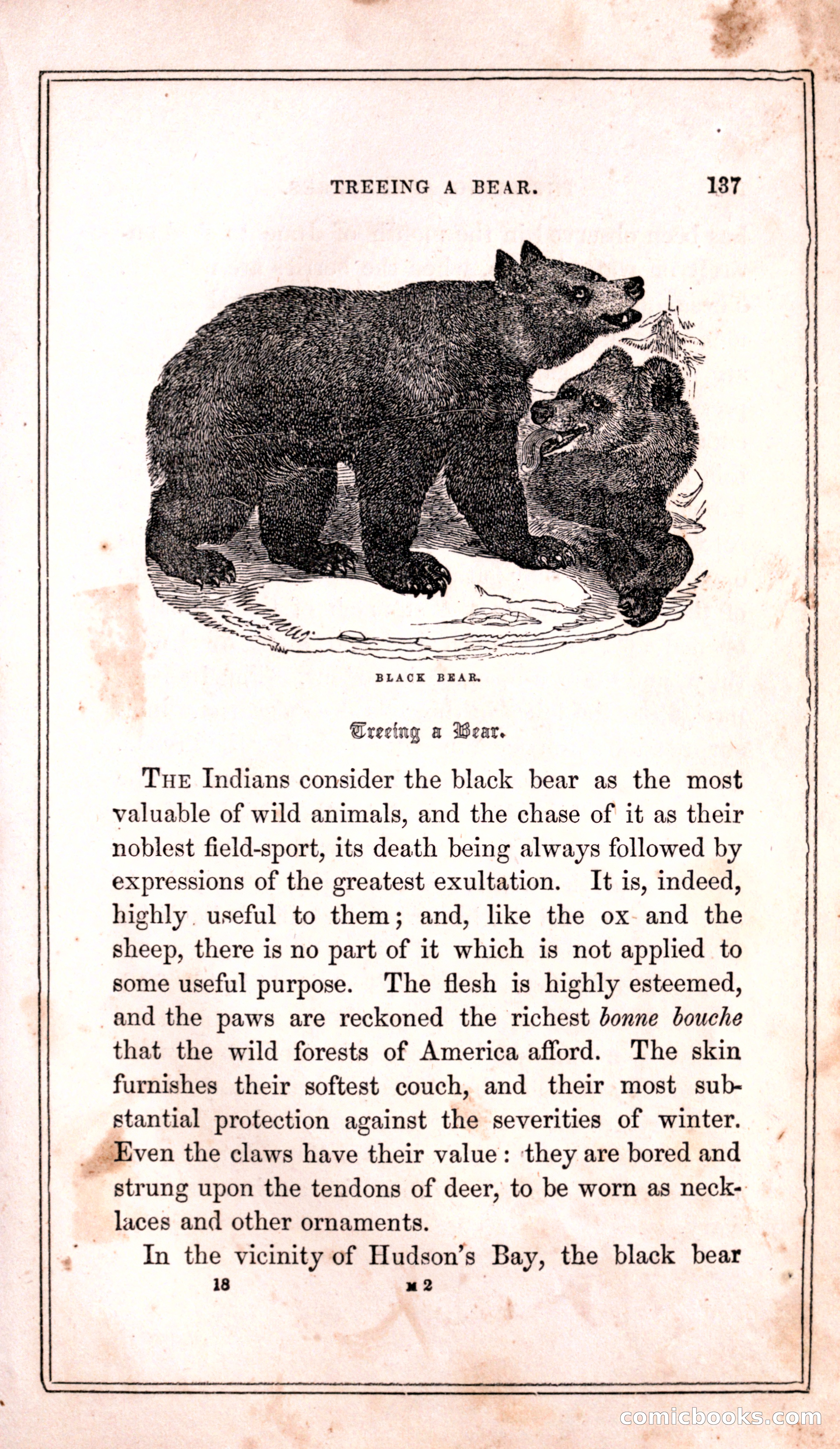Thrilling Adventures Among the Indians — page 145 of 399