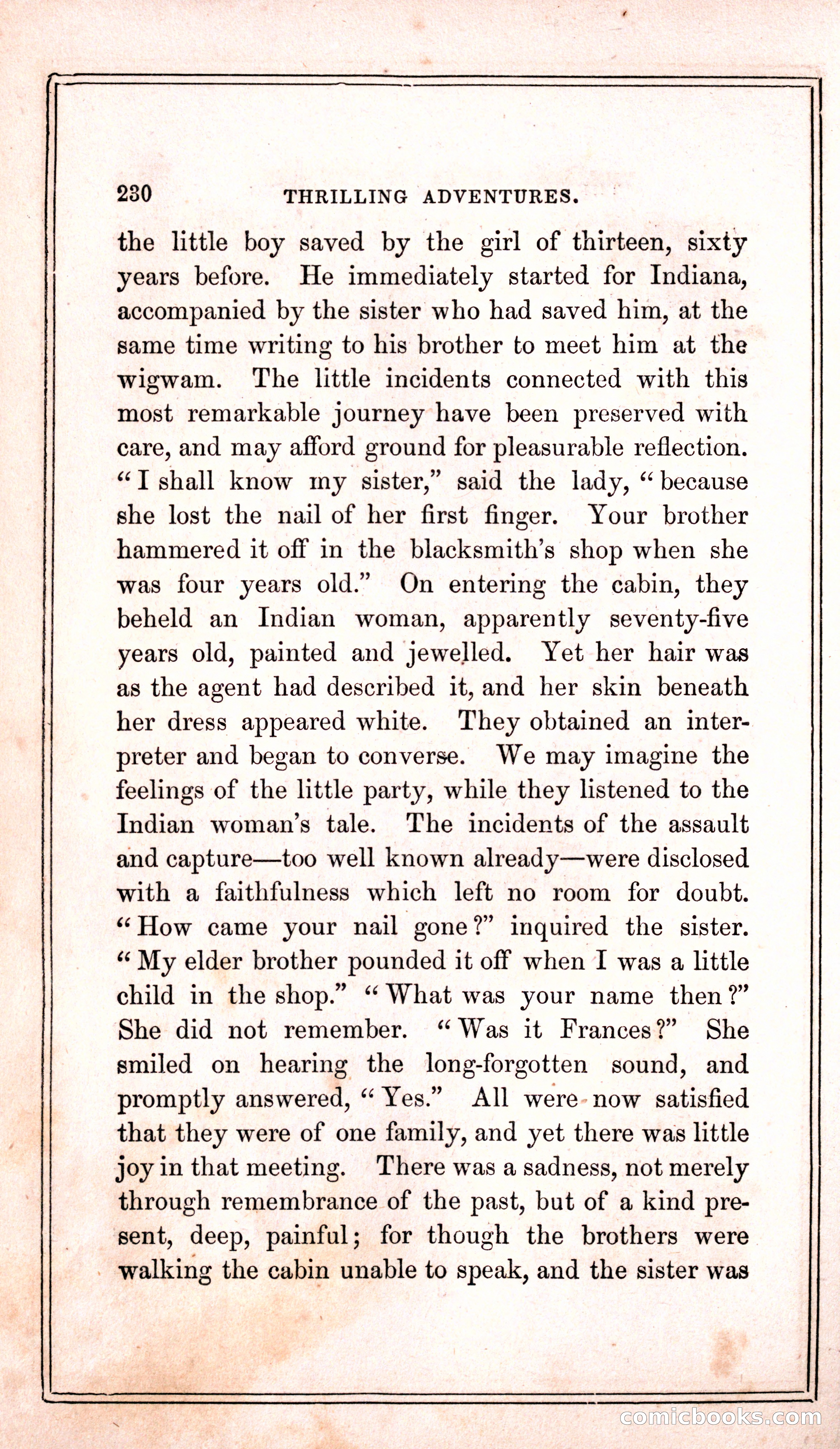 Thrilling Adventures Among the Indians — page 238 of 399