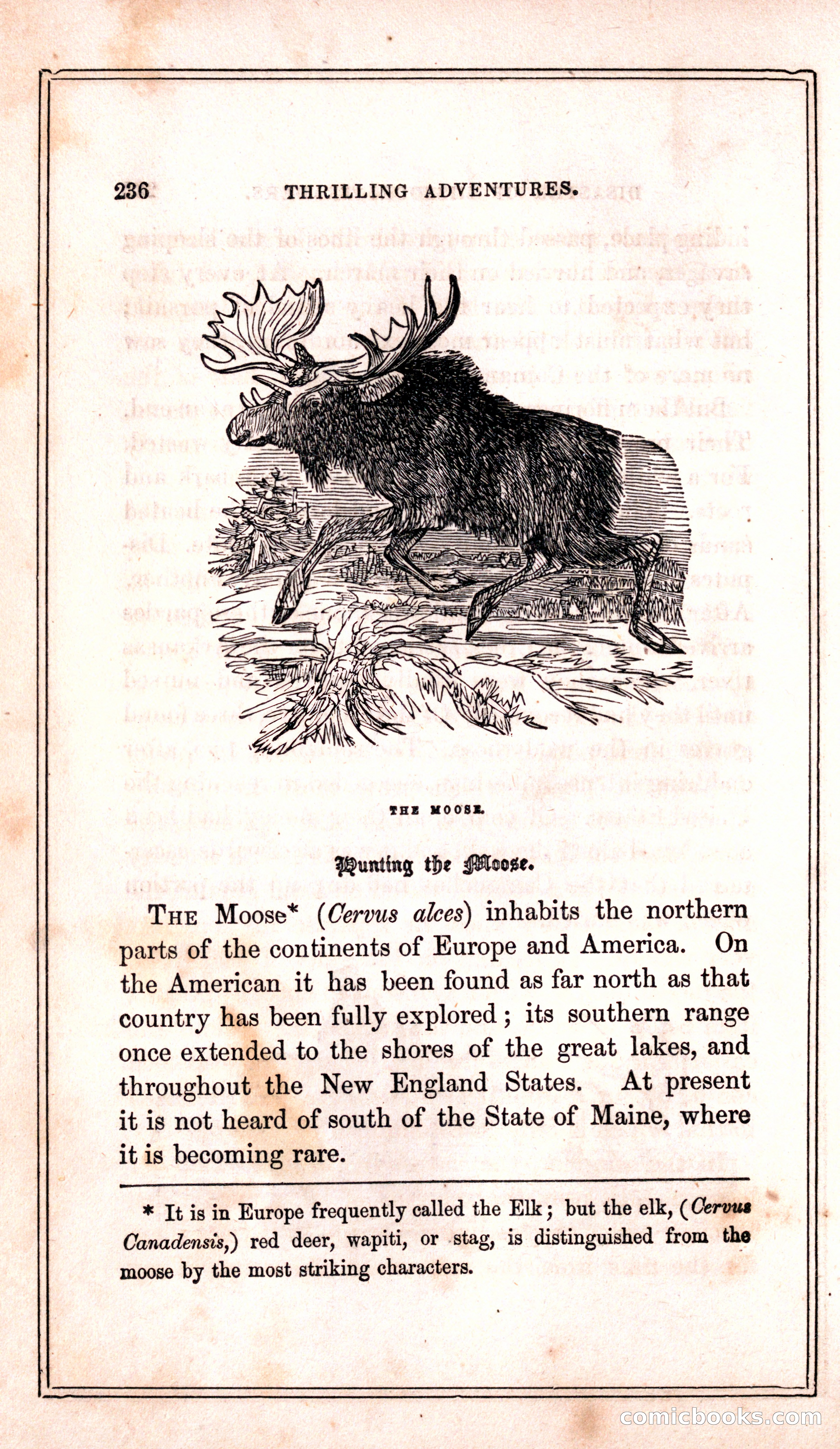Thrilling Adventures Among the Indians — page 244 of 399