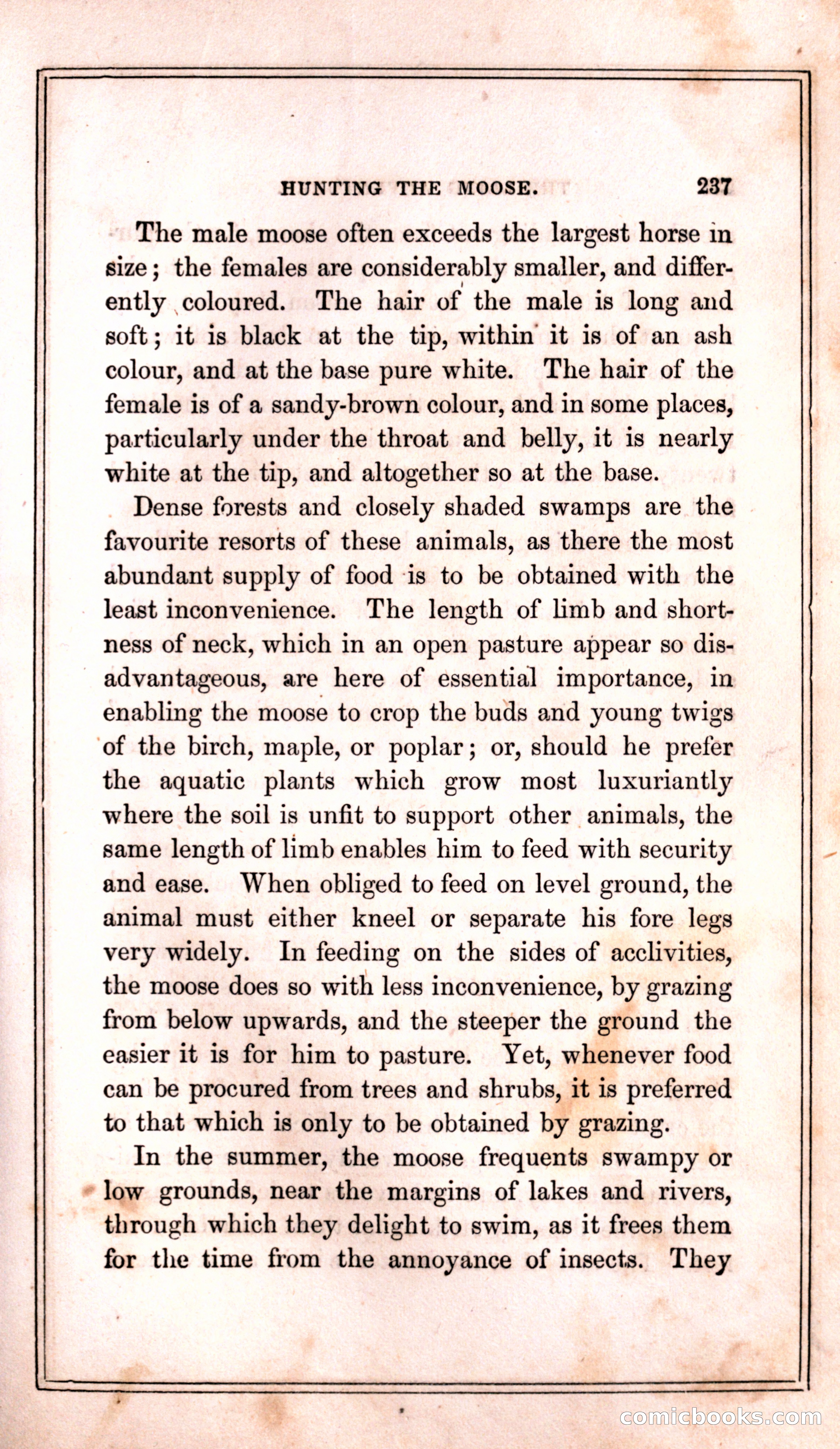 Thrilling Adventures Among the Indians — page 245 of 399