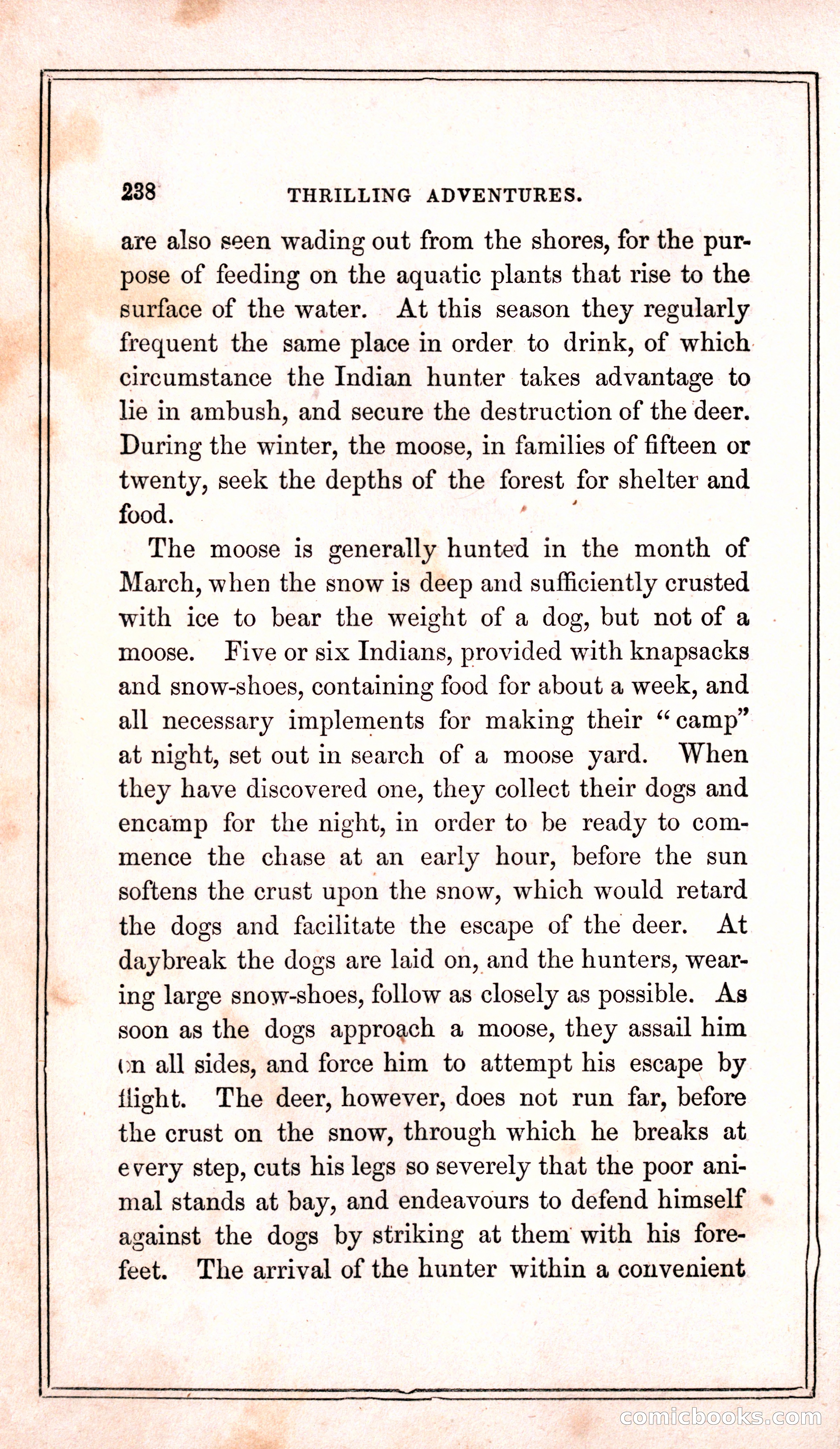 Thrilling Adventures Among the Indians — page 246 of 399