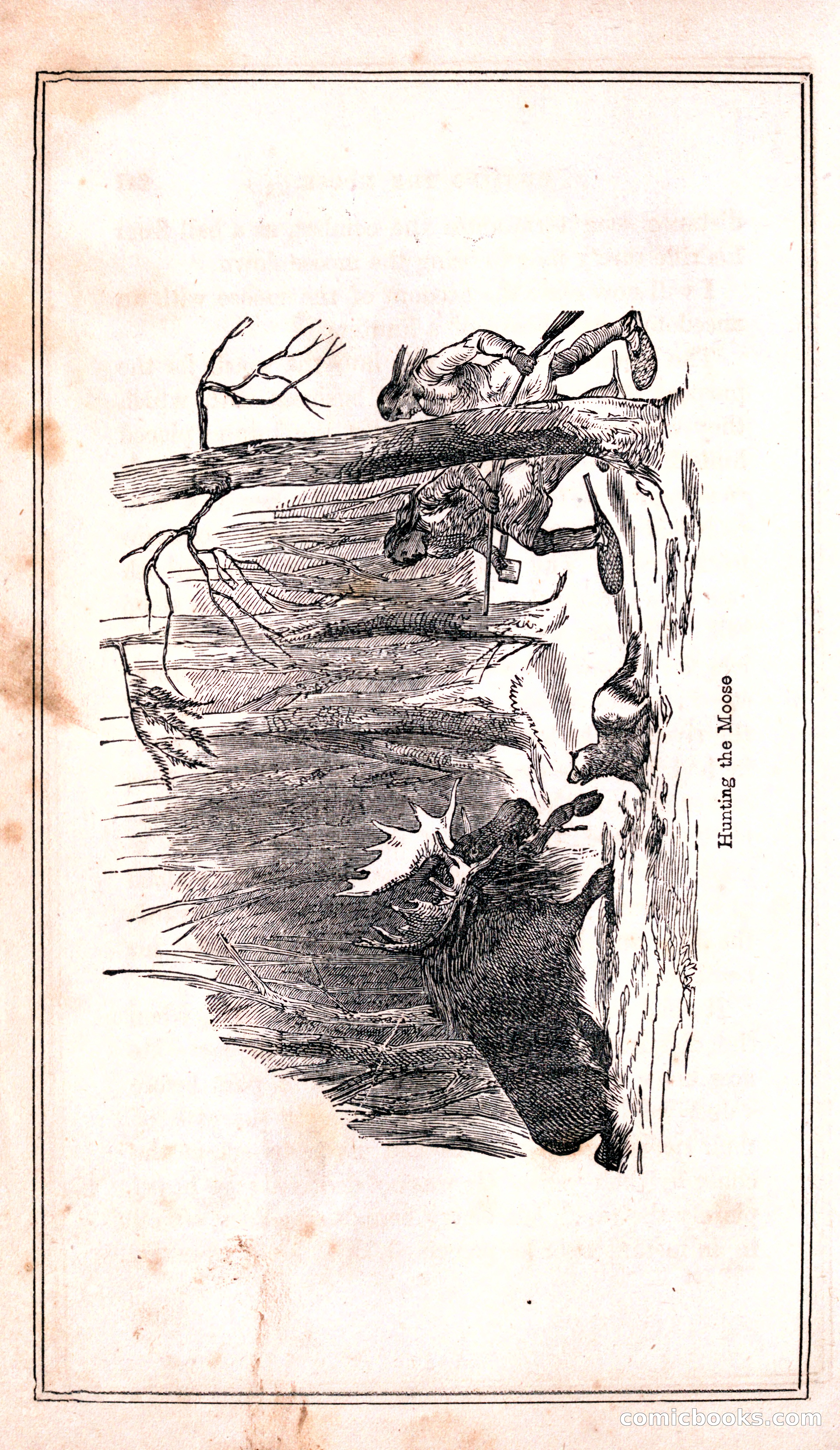 Thrilling Adventures Among the Indians — page 248 of 399