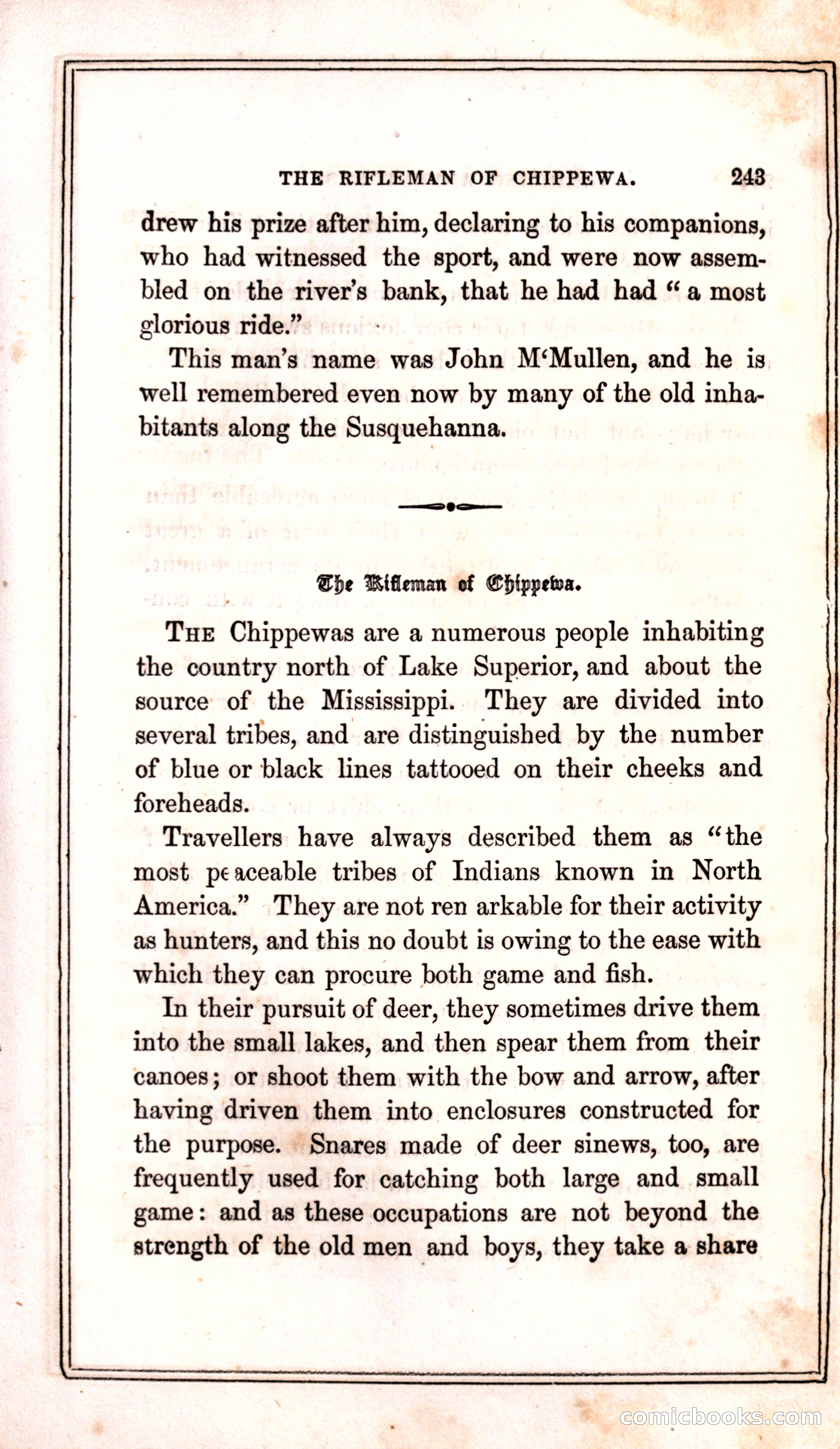 Thrilling Adventures Among the Indians — page 251 of 399