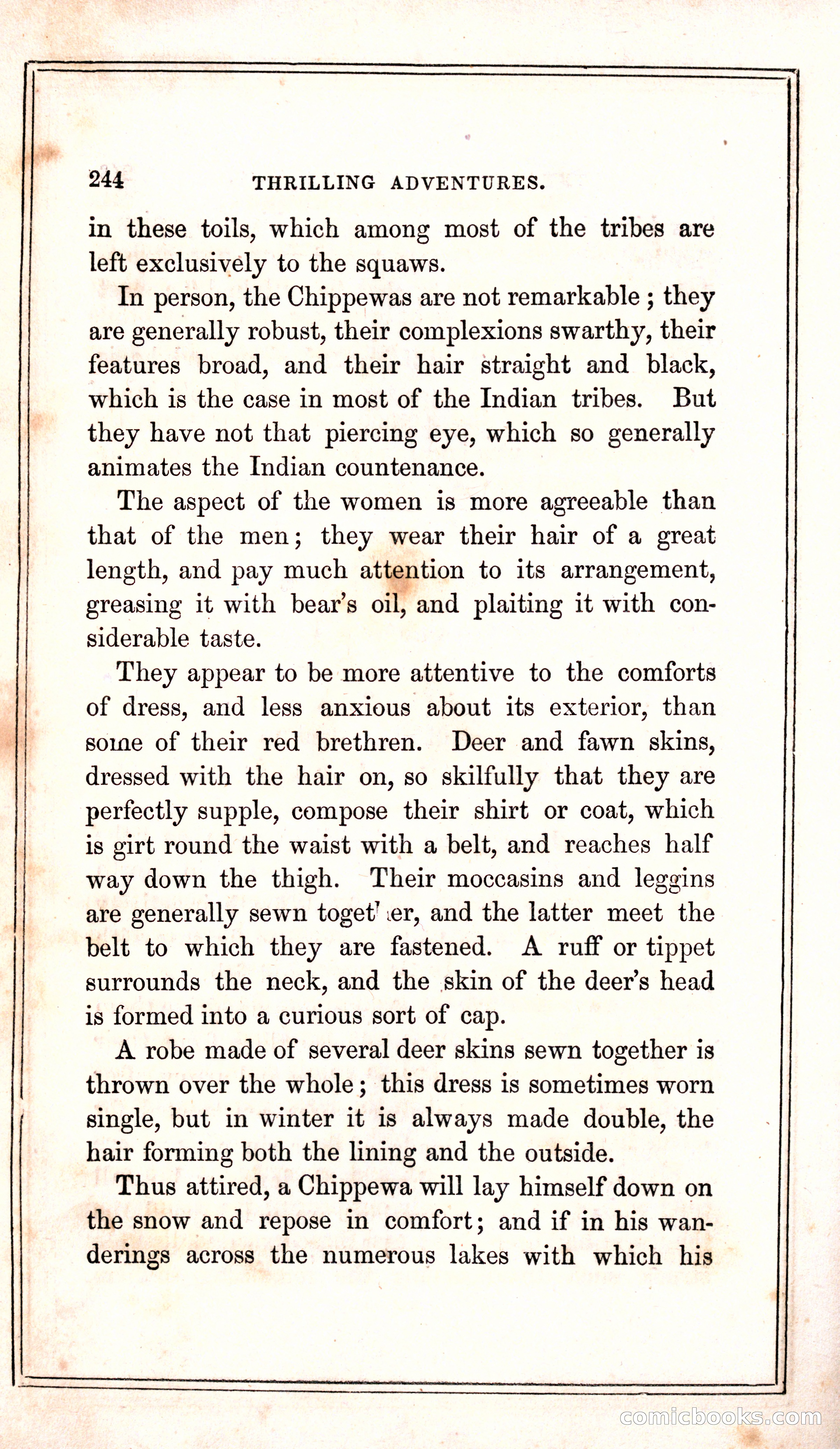 Thrilling Adventures Among the Indians — page 252 of 399