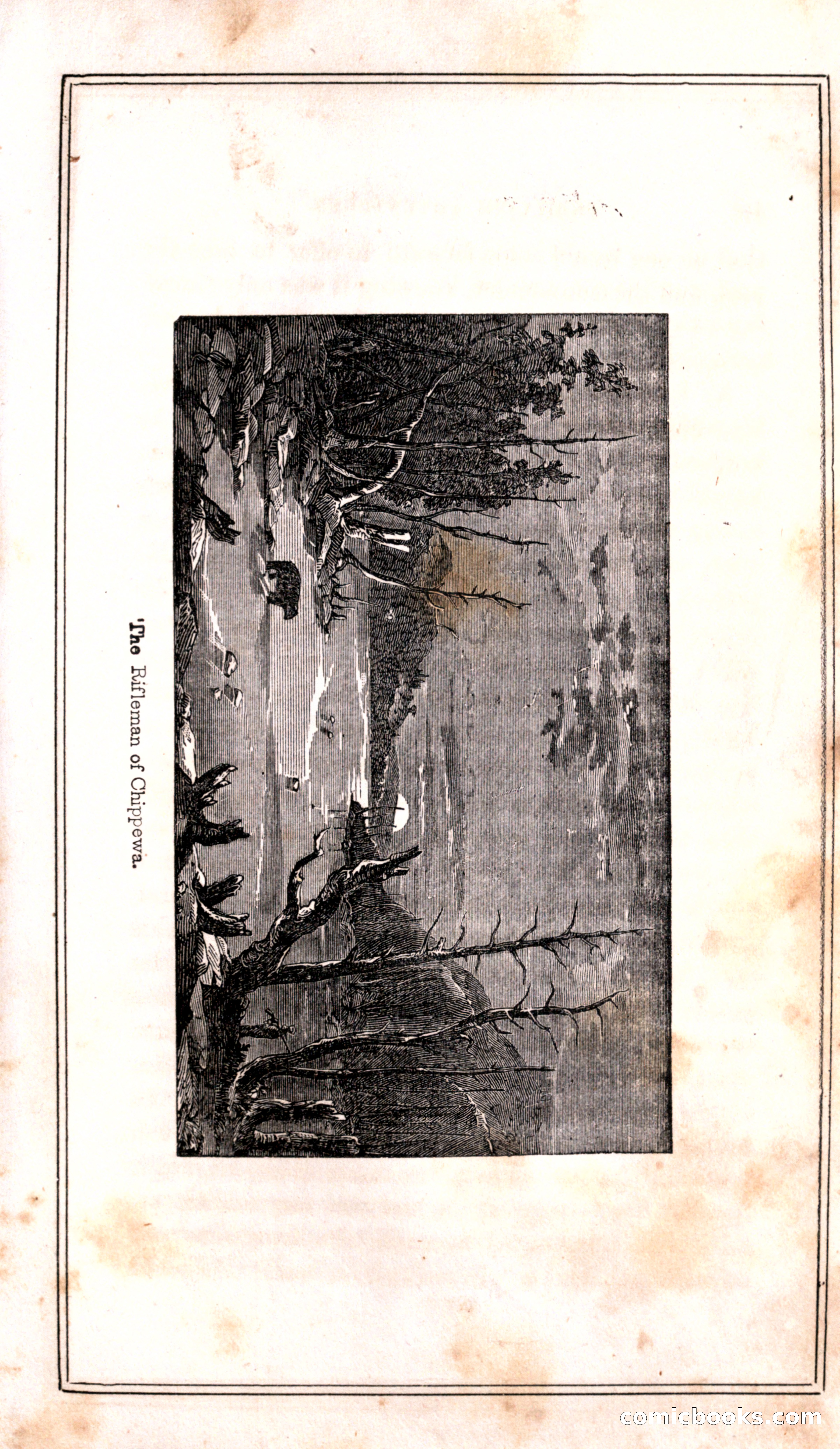 Thrilling Adventures Among the Indians — page 255 of 399