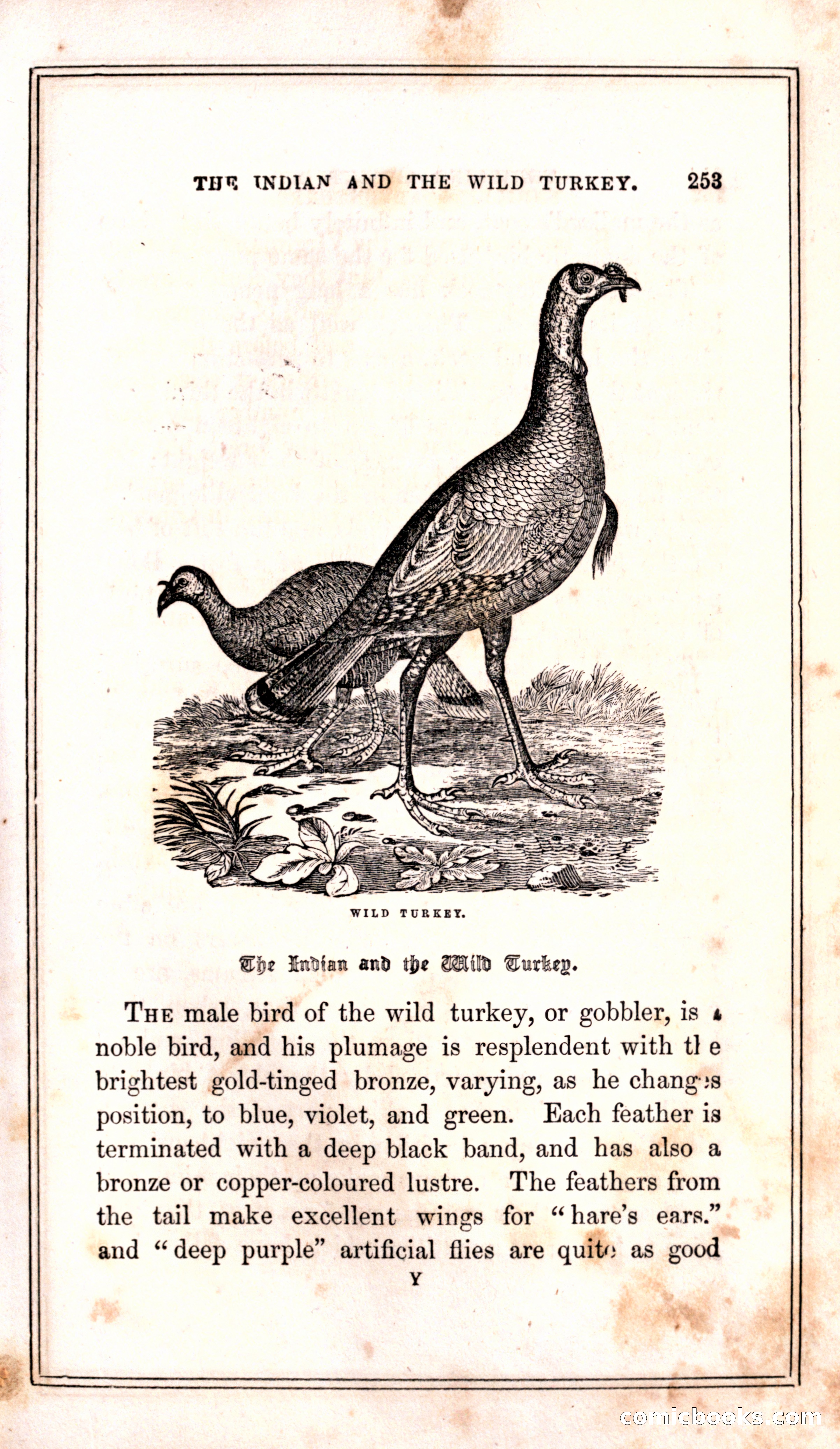Thrilling Adventures Among the Indians — page 261 of 399