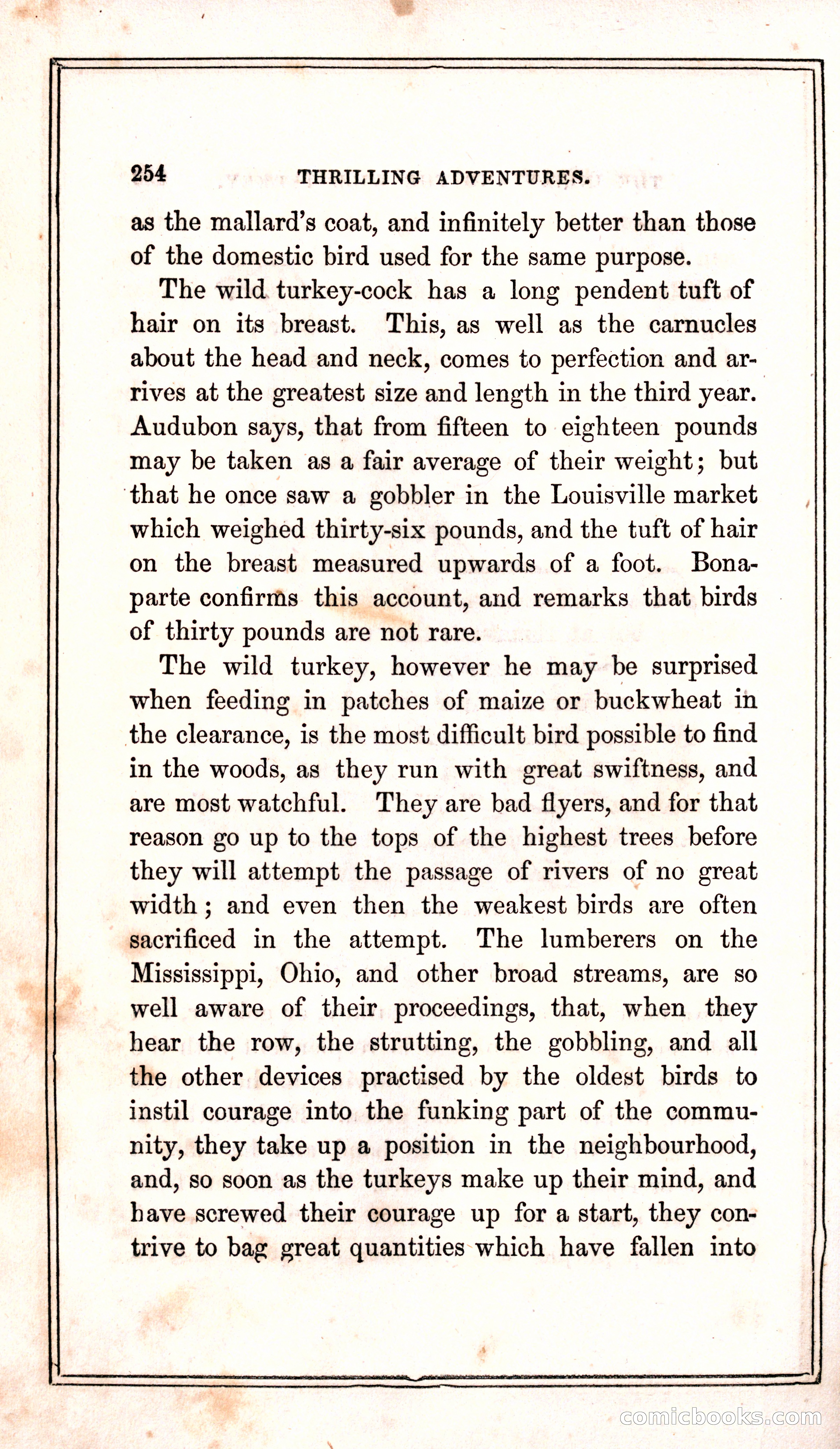 Thrilling Adventures Among the Indians — page 262 of 399