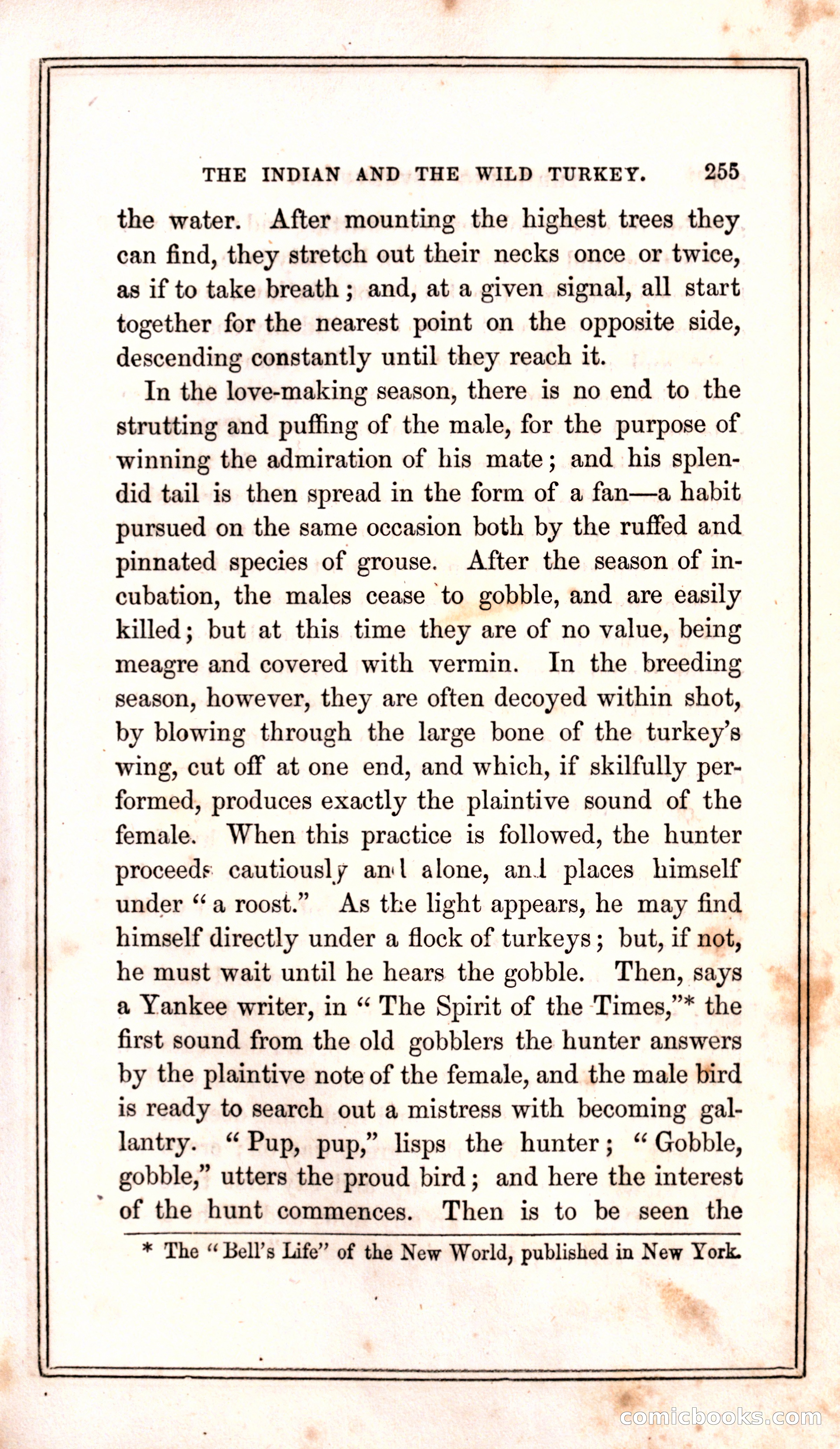 Thrilling Adventures Among the Indians — page 263 of 399