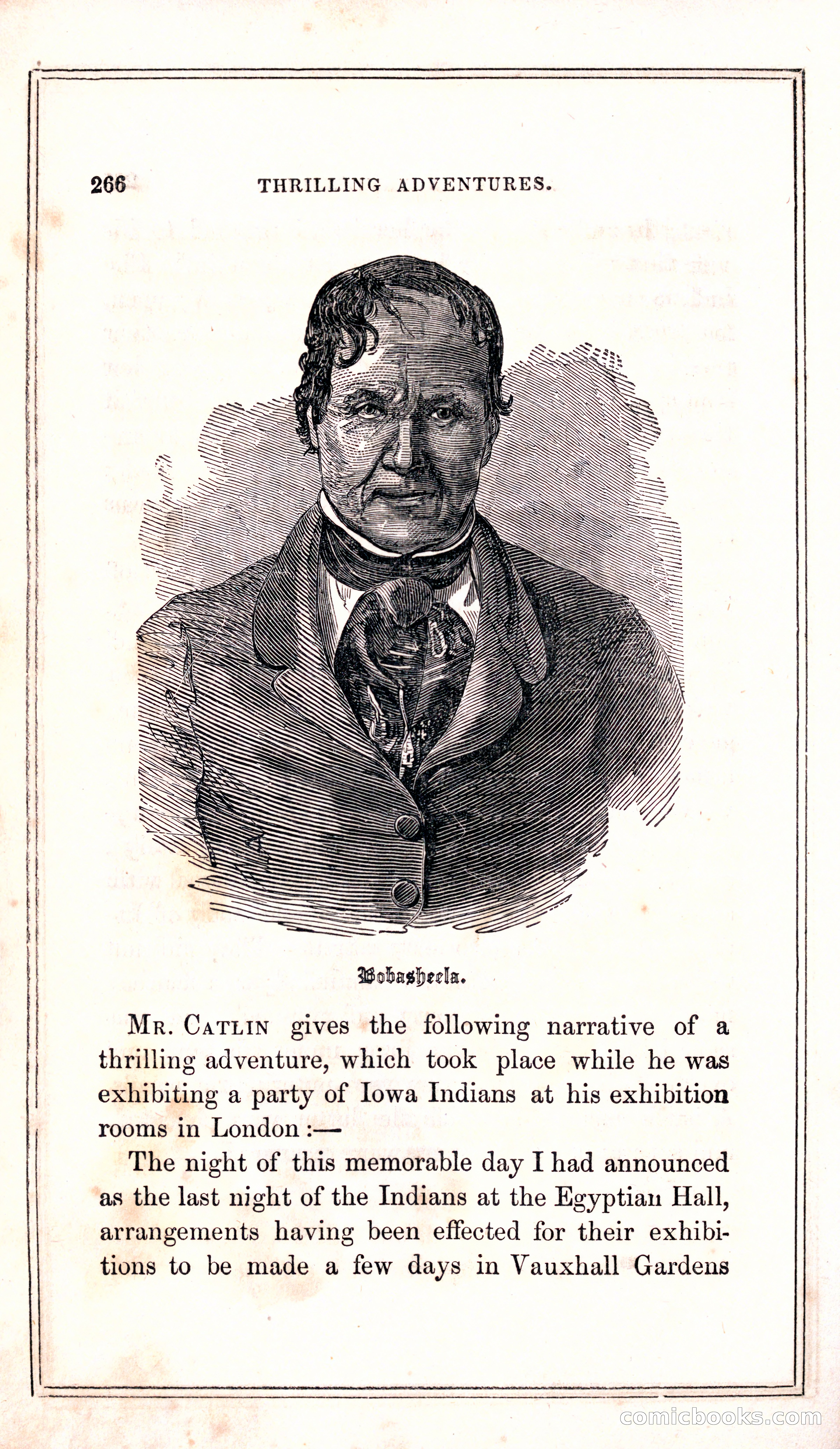 Thrilling Adventures Among the Indians — page 274 of 399