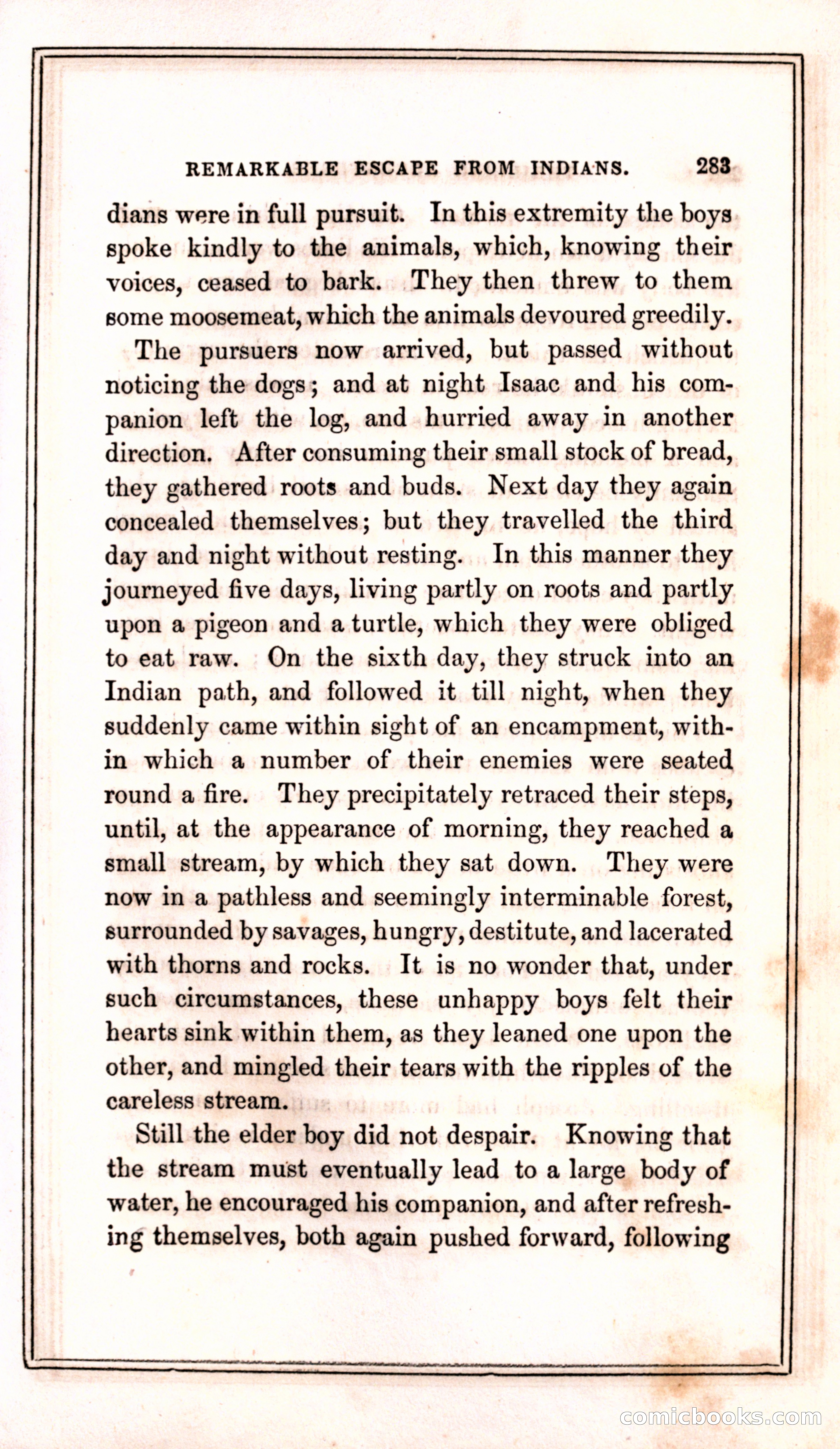 Thrilling Adventures Among the Indians — page 291 of 399