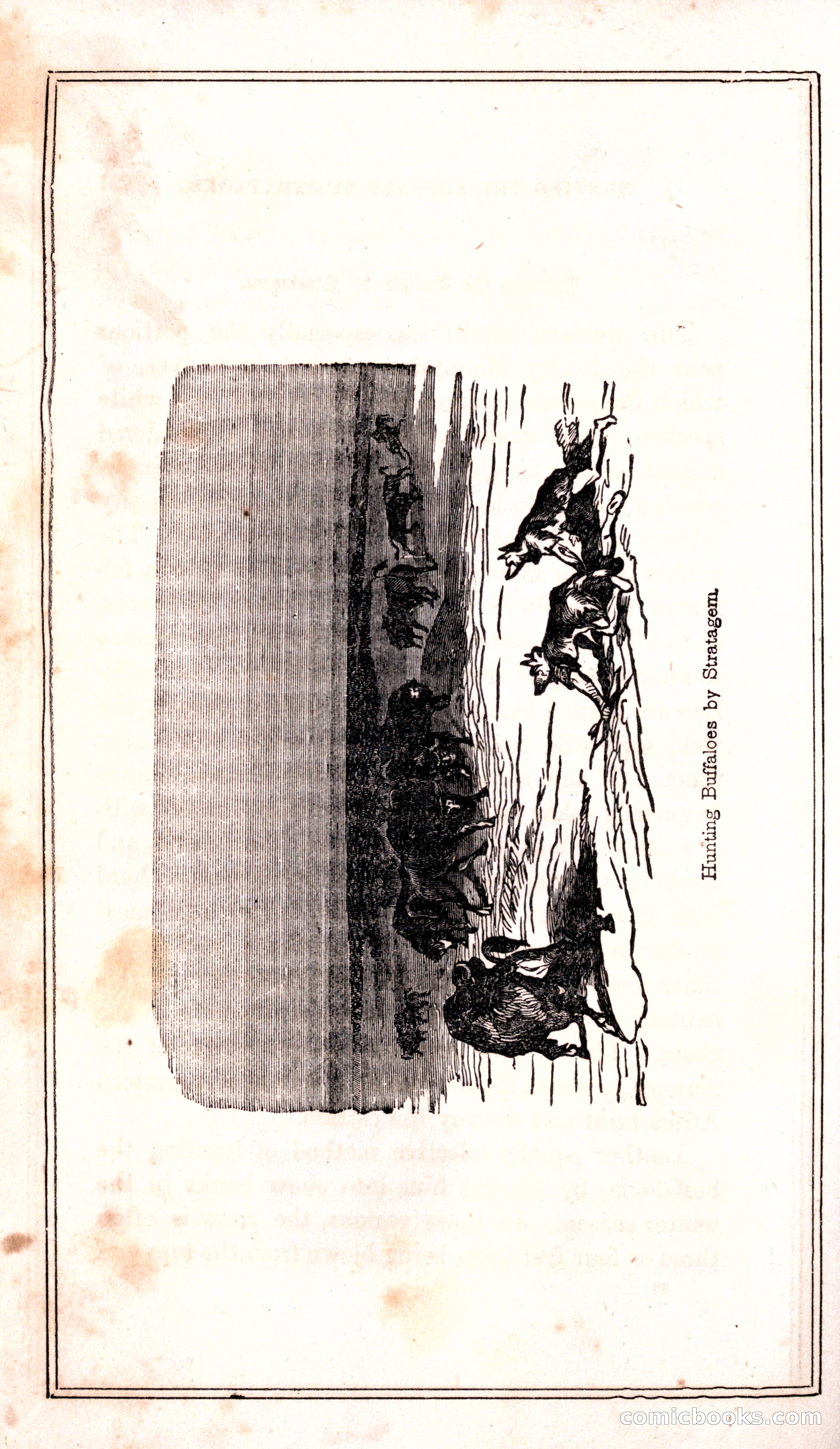 Thrilling Adventures Among the Indians — page 304 of 399
