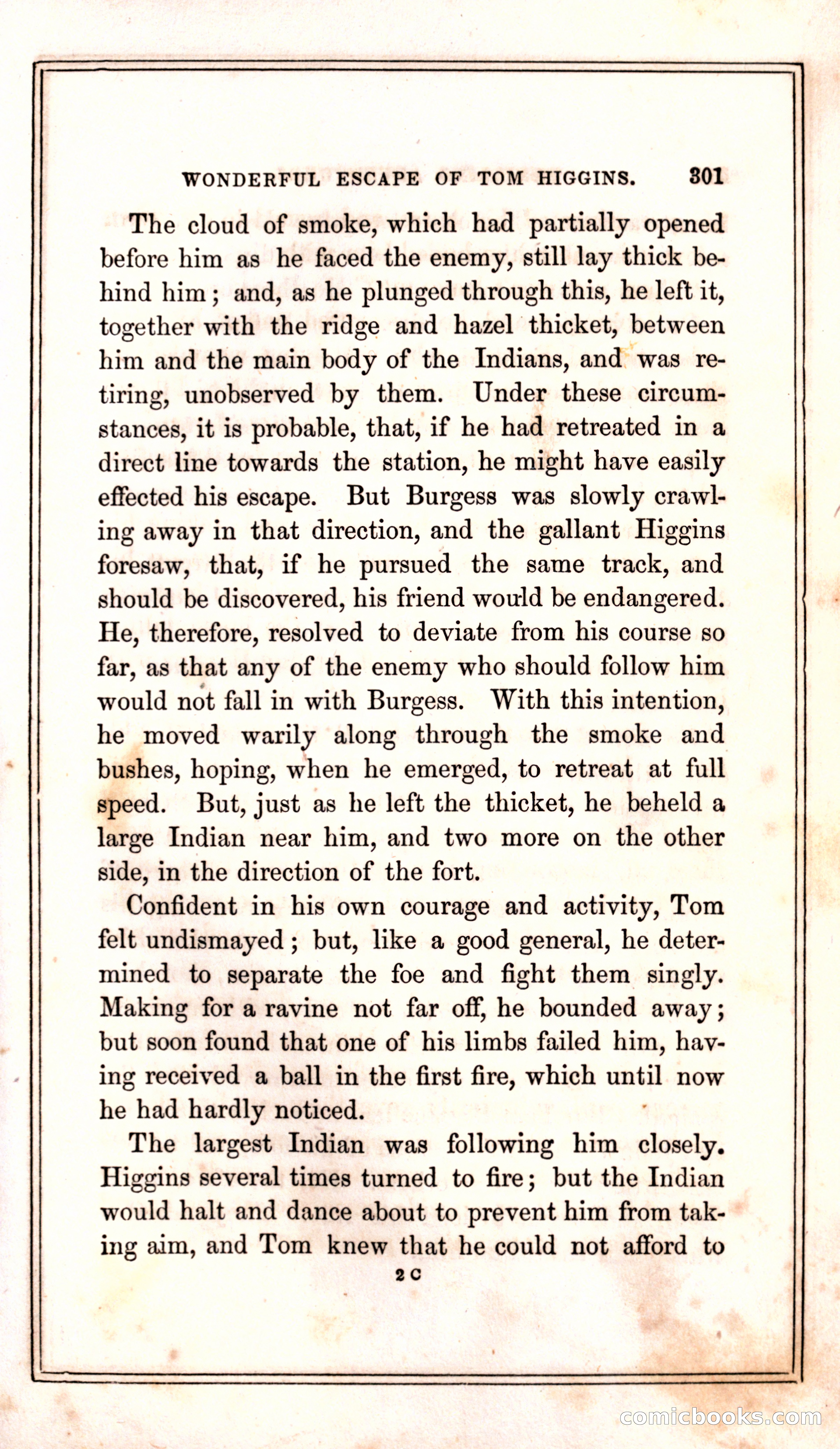 Thrilling Adventures Among the Indians — page 309 of 399