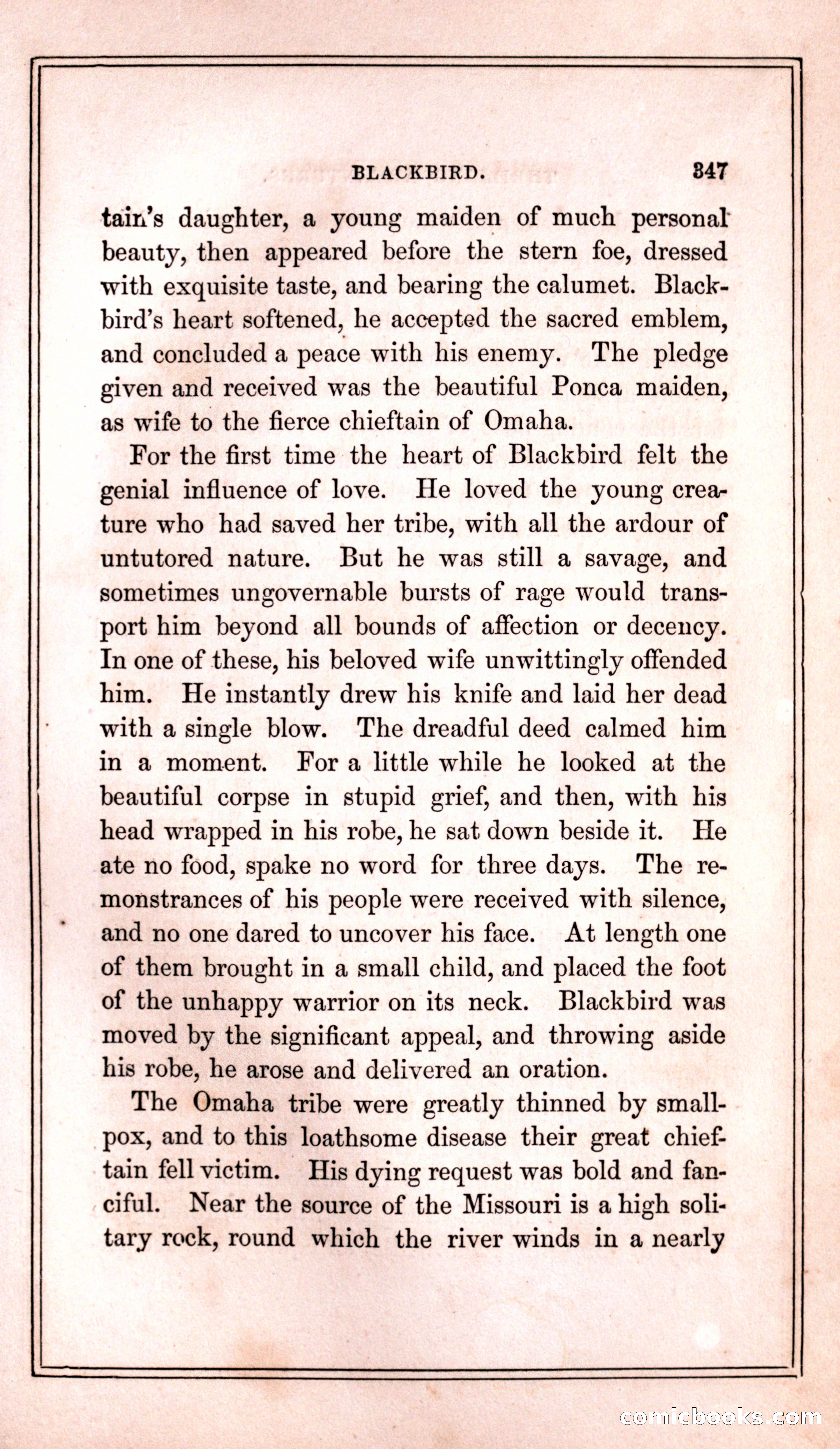 Thrilling Adventures Among the Indians — page 355 of 399