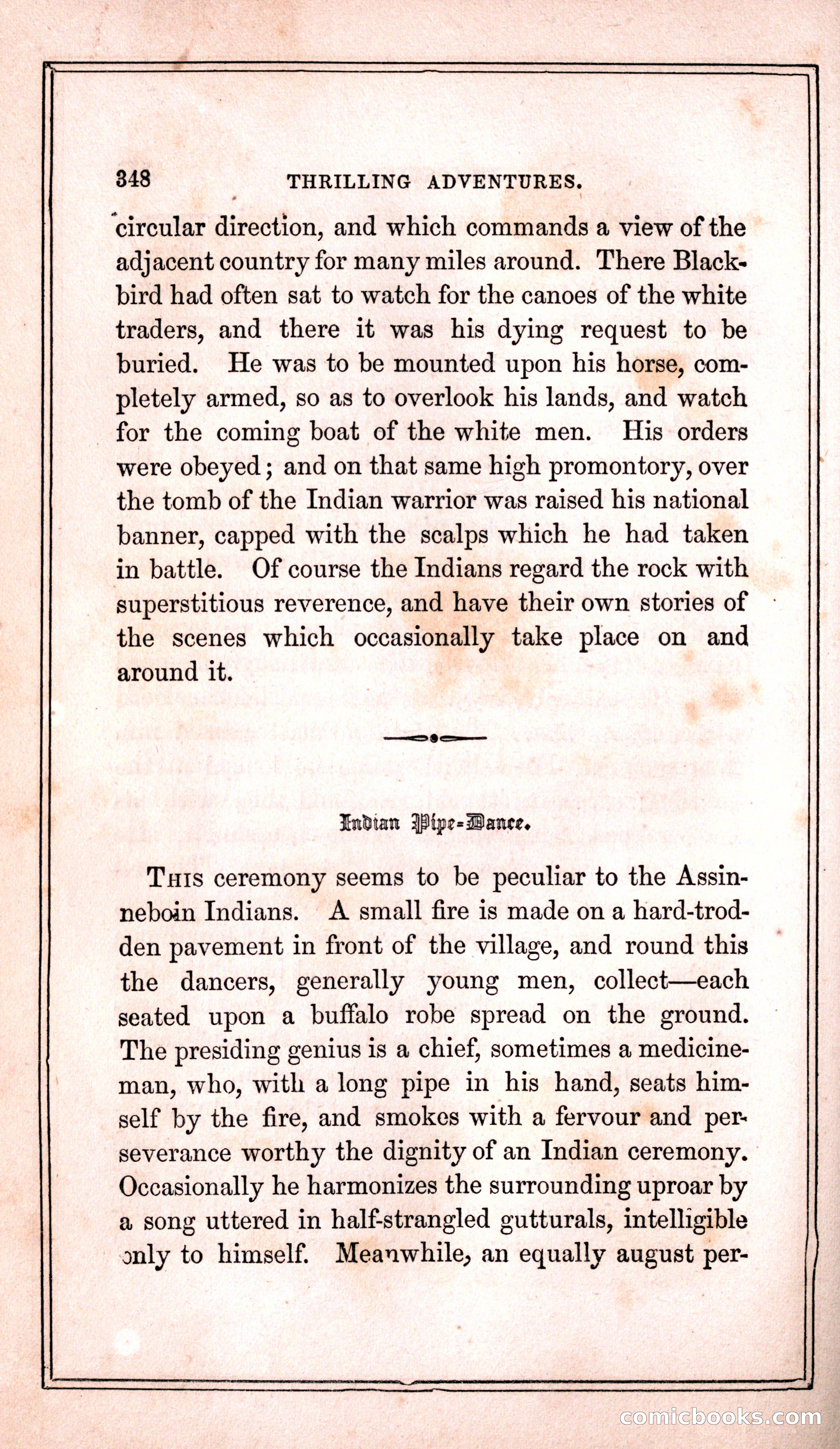 Thrilling Adventures Among the Indians — page 356 of 399