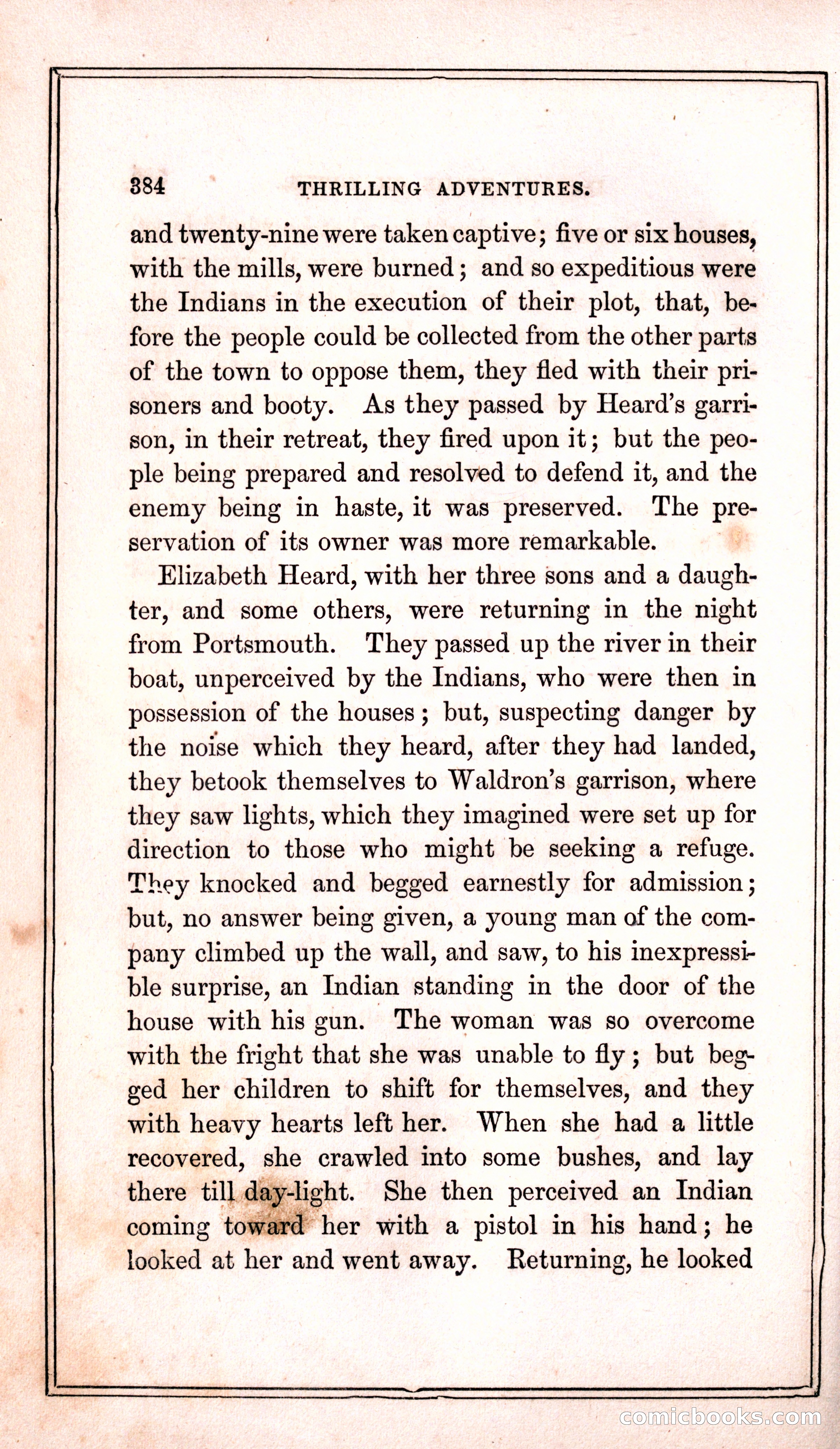 Thrilling Adventures Among the Indians — page 392 of 399