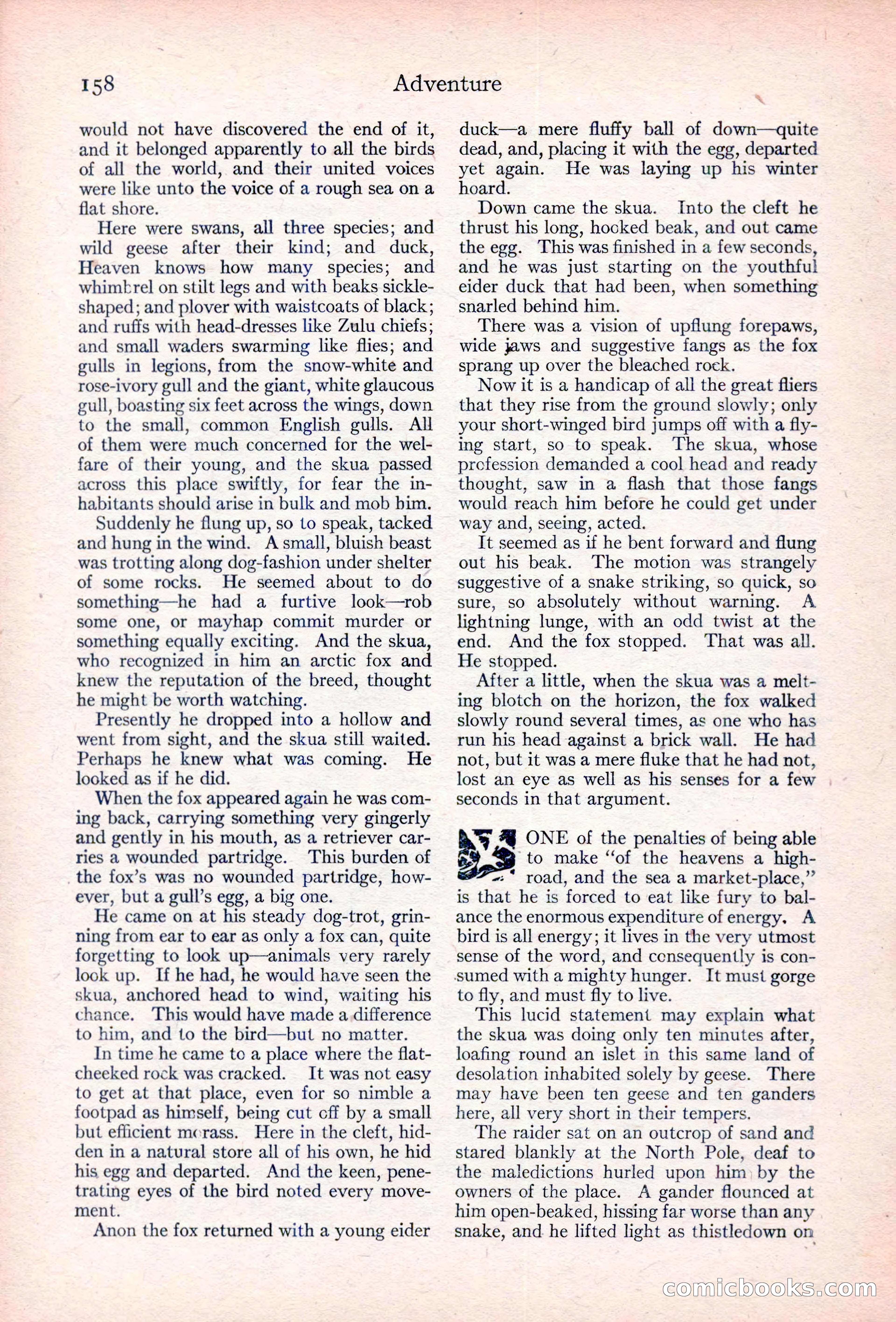 Adventure Magazine — page 168 of 204