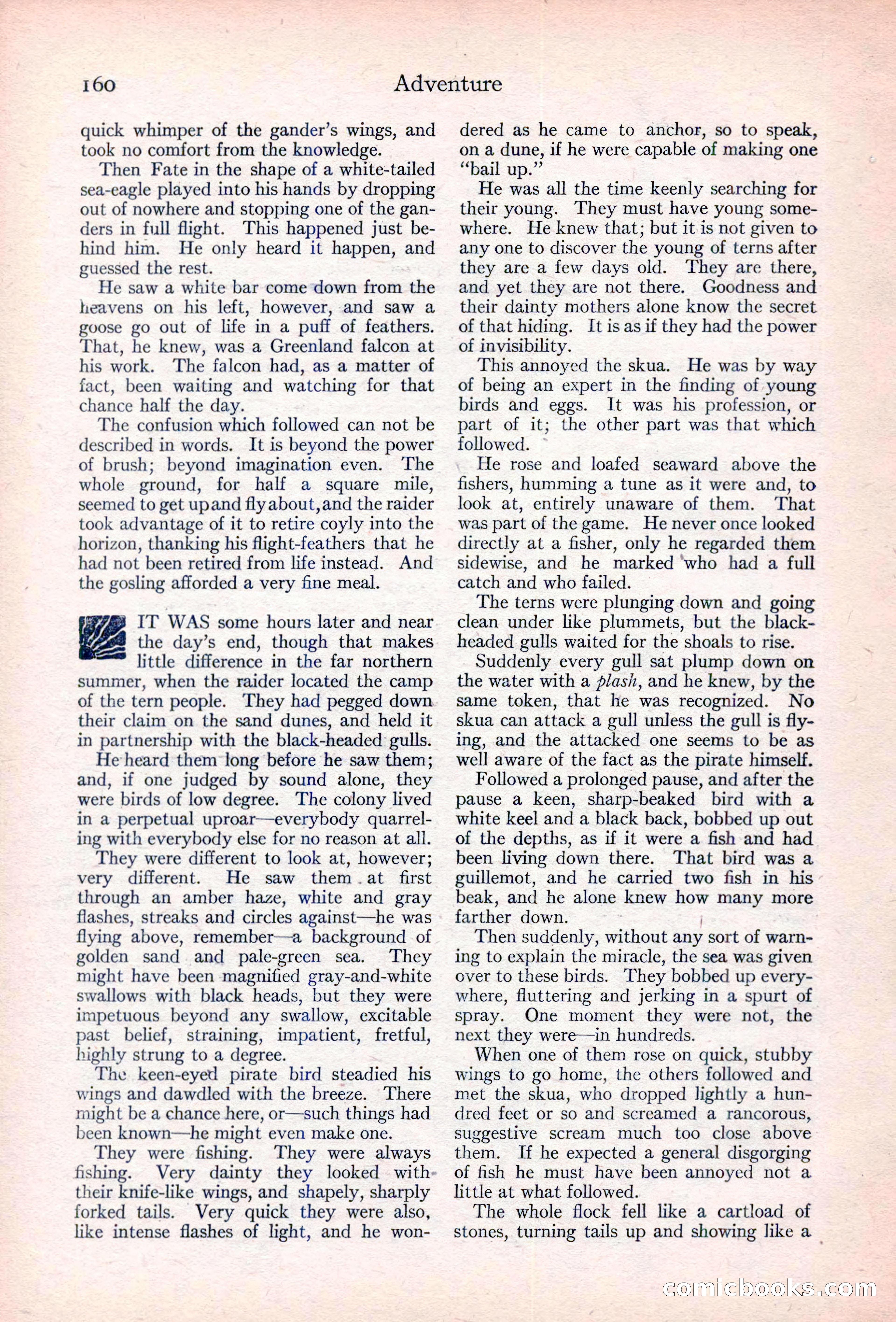 Adventure Magazine — page 170 of 204