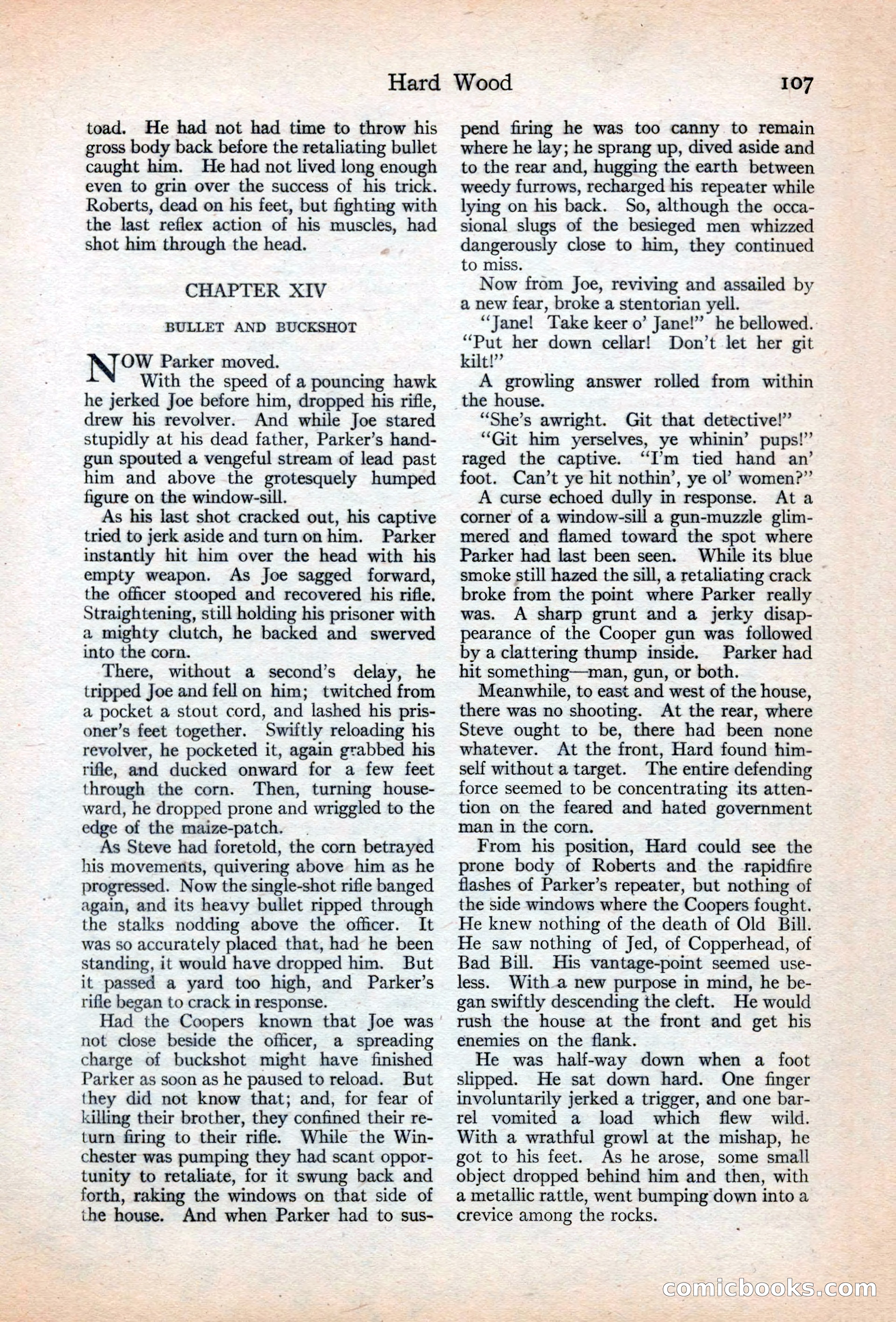 Adventure Magazine, May 20, 1925 — page 121 of 208