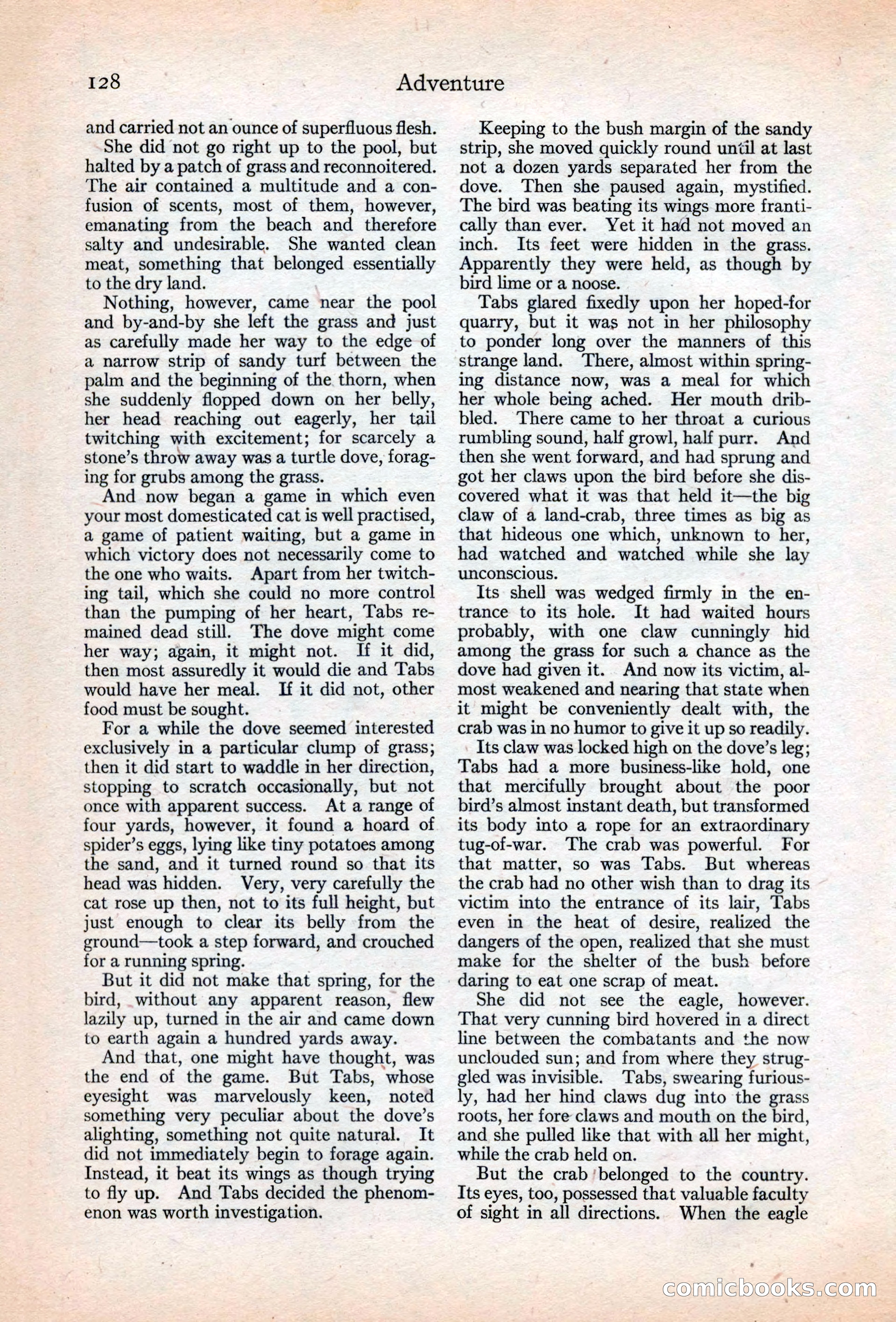 Adventure Magazine, May 20, 1925 — page 142 of 208