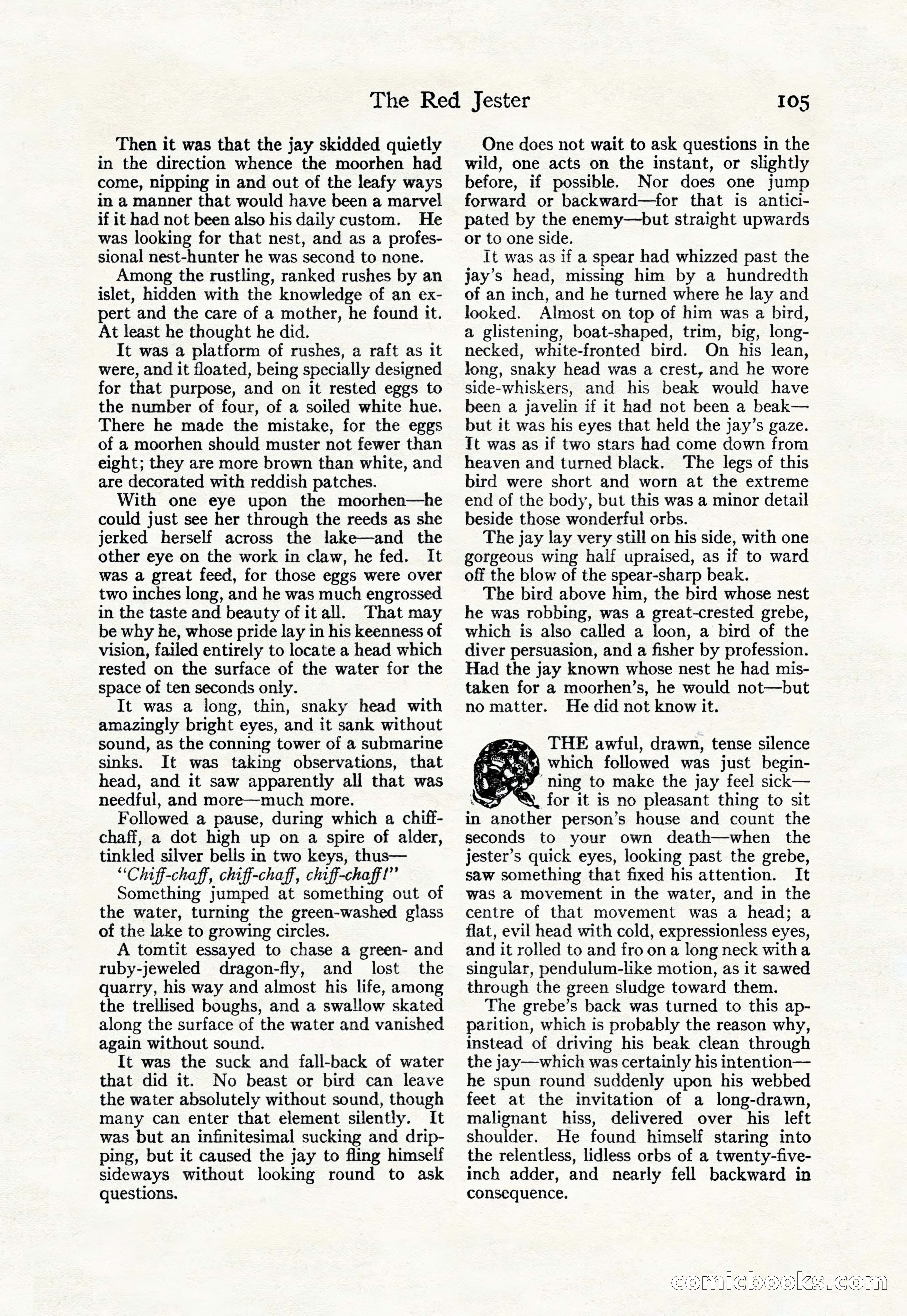 Adventure, May 23, 1926 — page 107 of 196