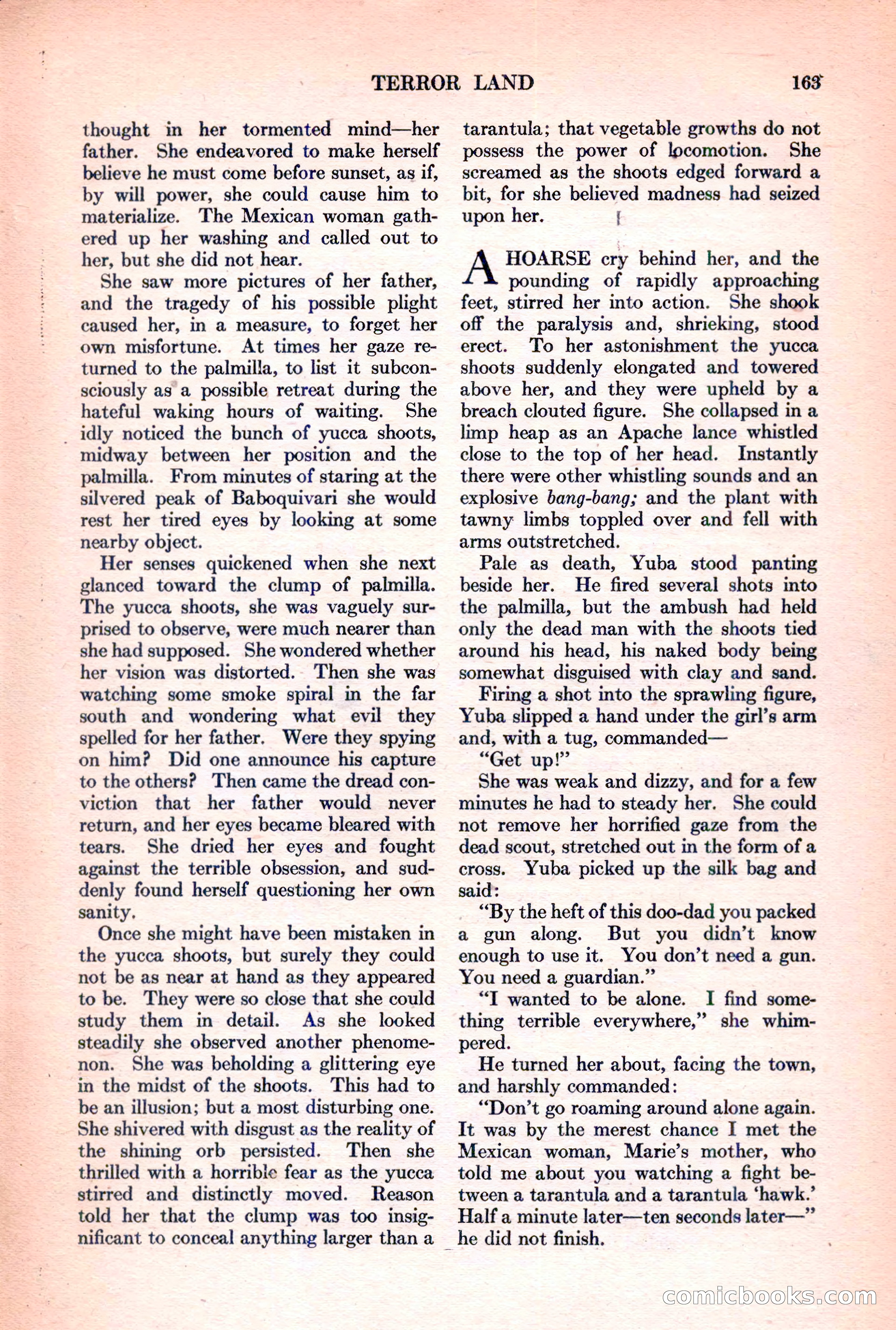 Adventure Magazine, March 15, 1928 — page 165 of 196