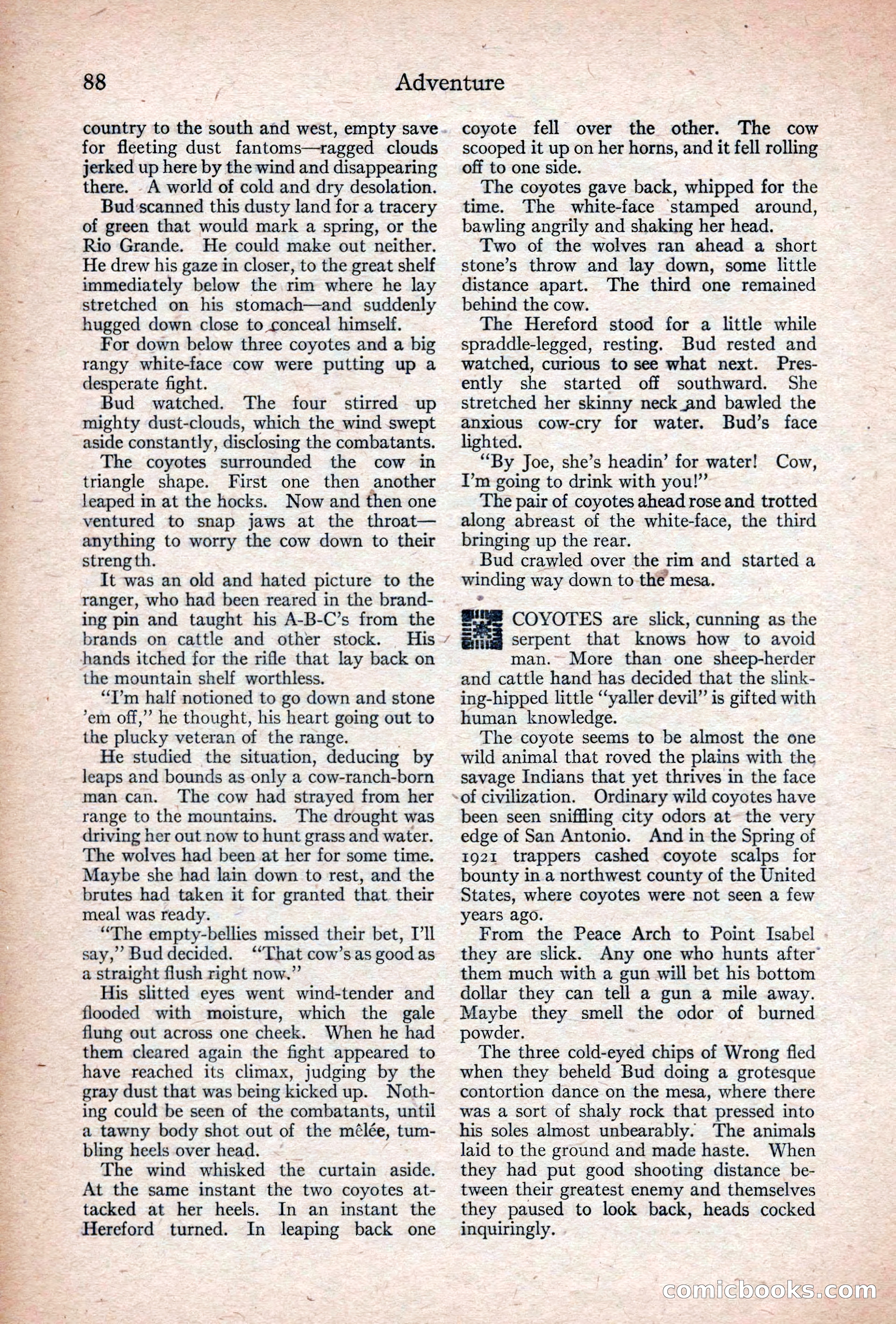 Adventure Magazine — page 90 of 196